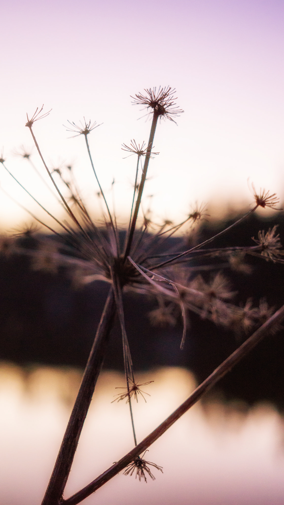 Sony a6000 + Sigma 30mm F2.8 EX DN sample photo. Stilk photography