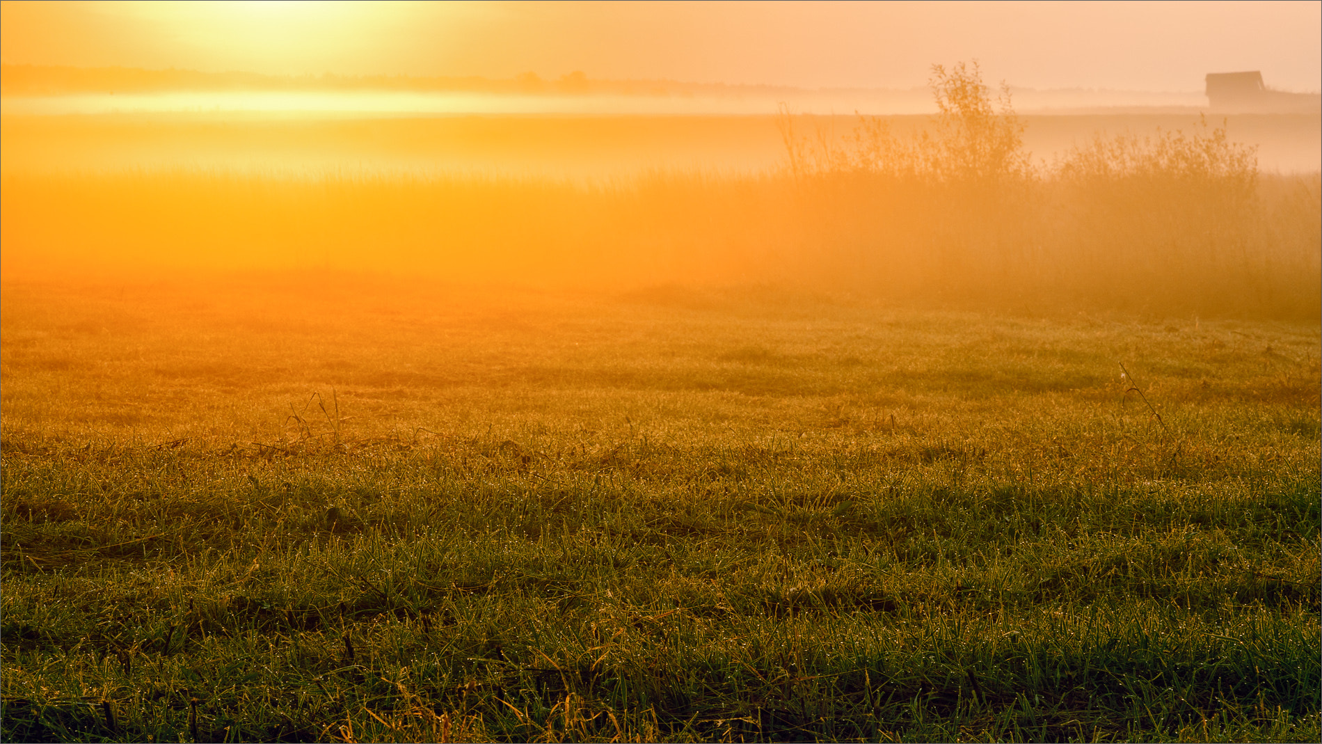Canon EOS 450D (EOS Rebel XSi / EOS Kiss X2) + Canon EF 24-105mm F4L IS USM sample photo. Sun bathing in the fog... photography