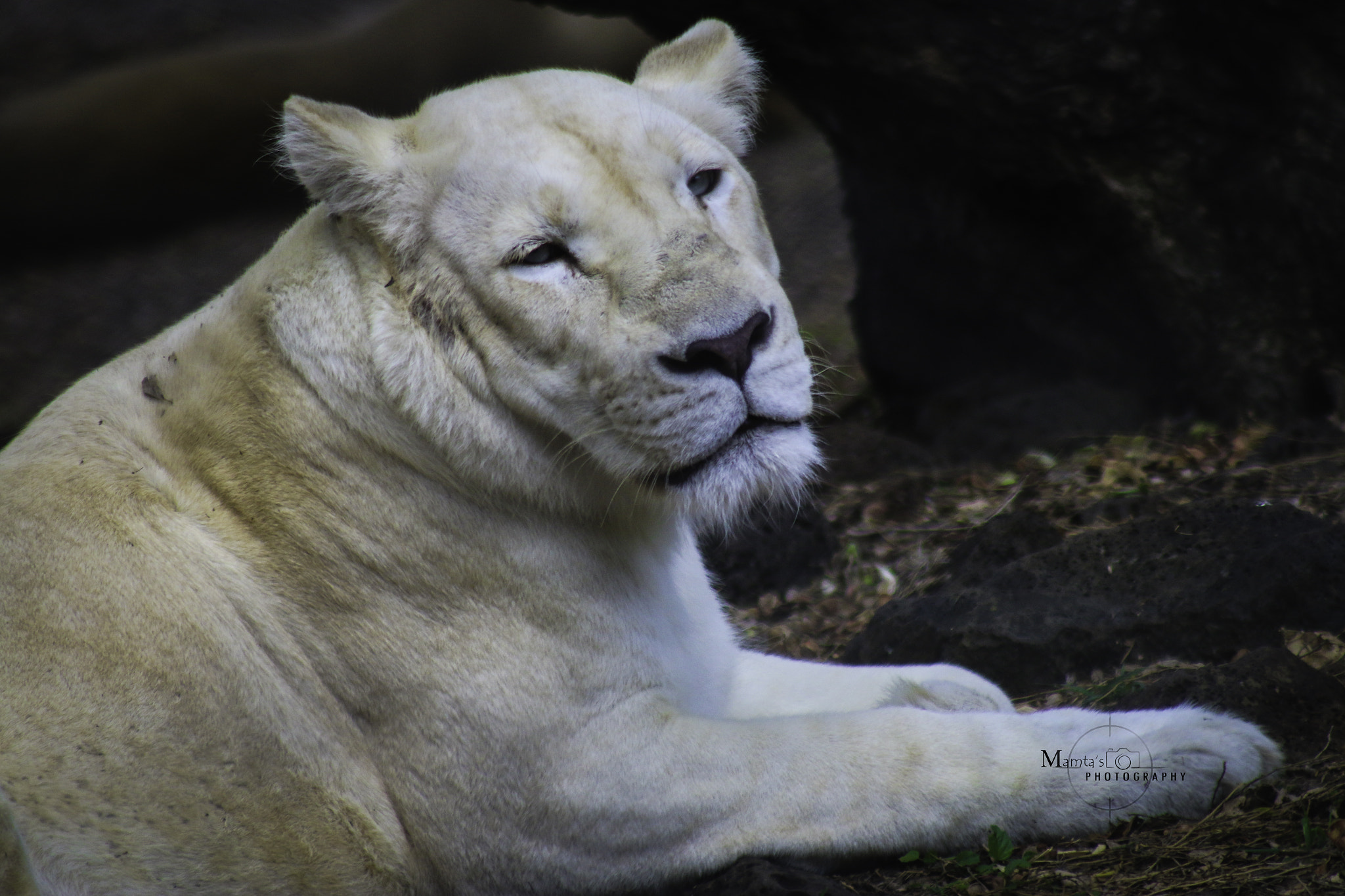 Canon EF 75-300mm f/4-5.6 USM sample photo. Img photography