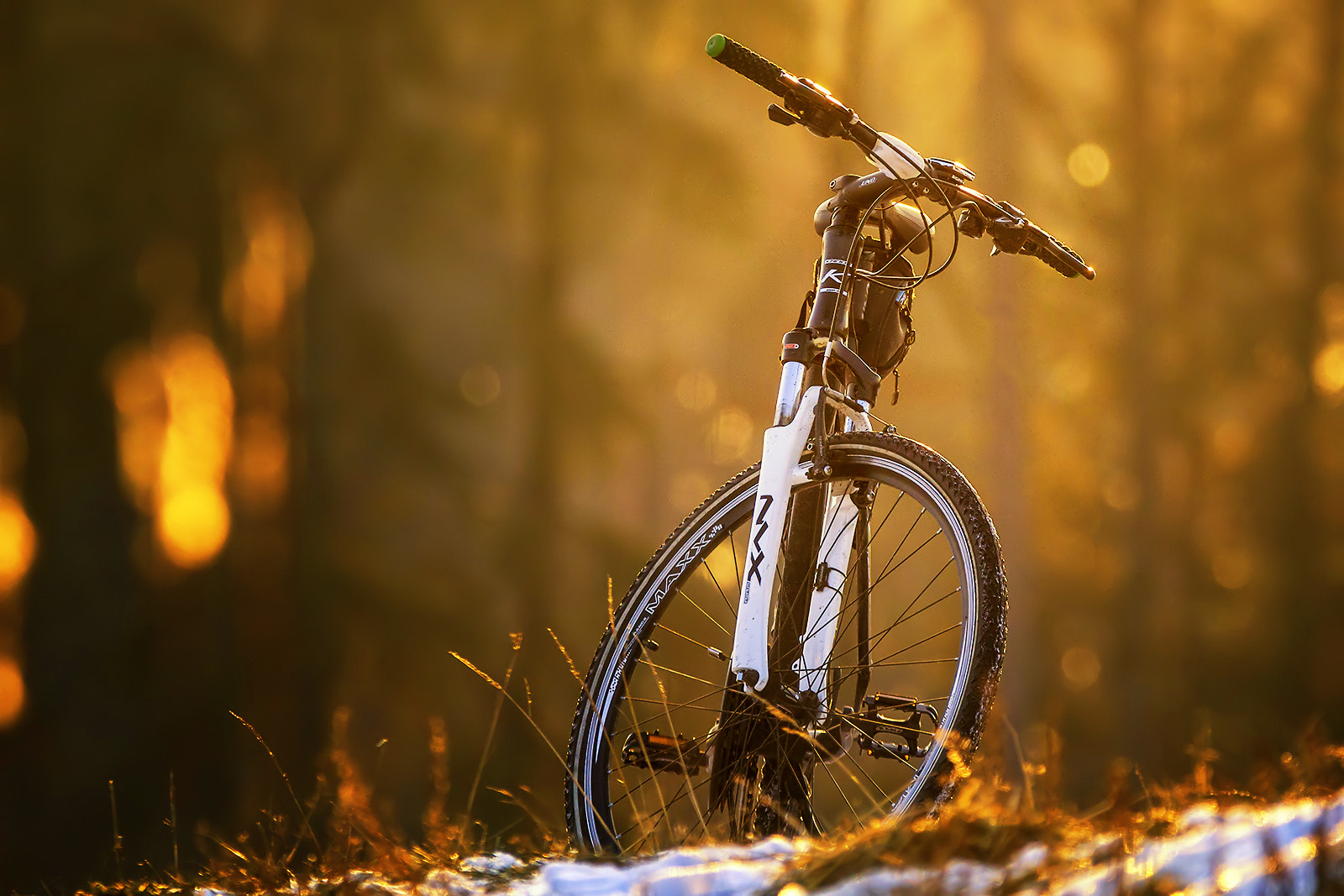 150-600mm F5-6.3 DG OS HSM | Contemporary 015 sample photo. Bike at the sunset photography