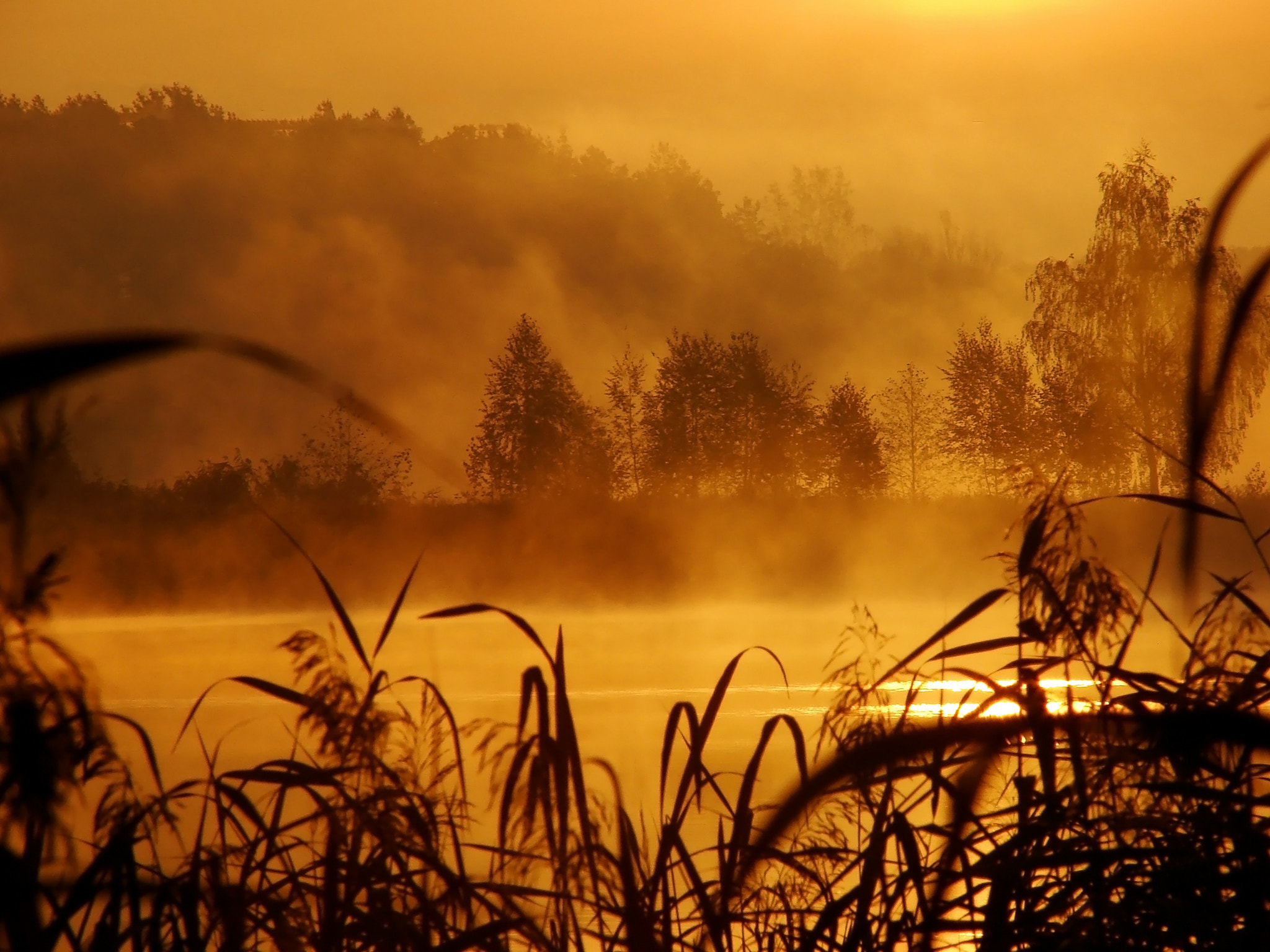 Sony DSC-H5 sample photo. Dawn on the lake photography