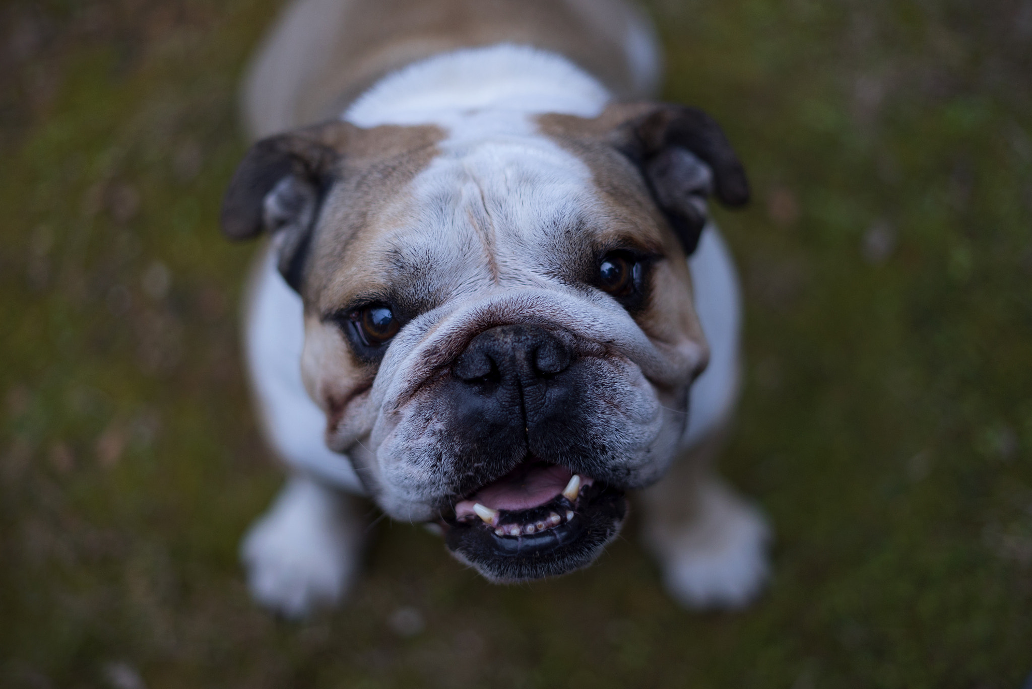 Sony FE 50mm F1.8 sample photo. Hein? photography
