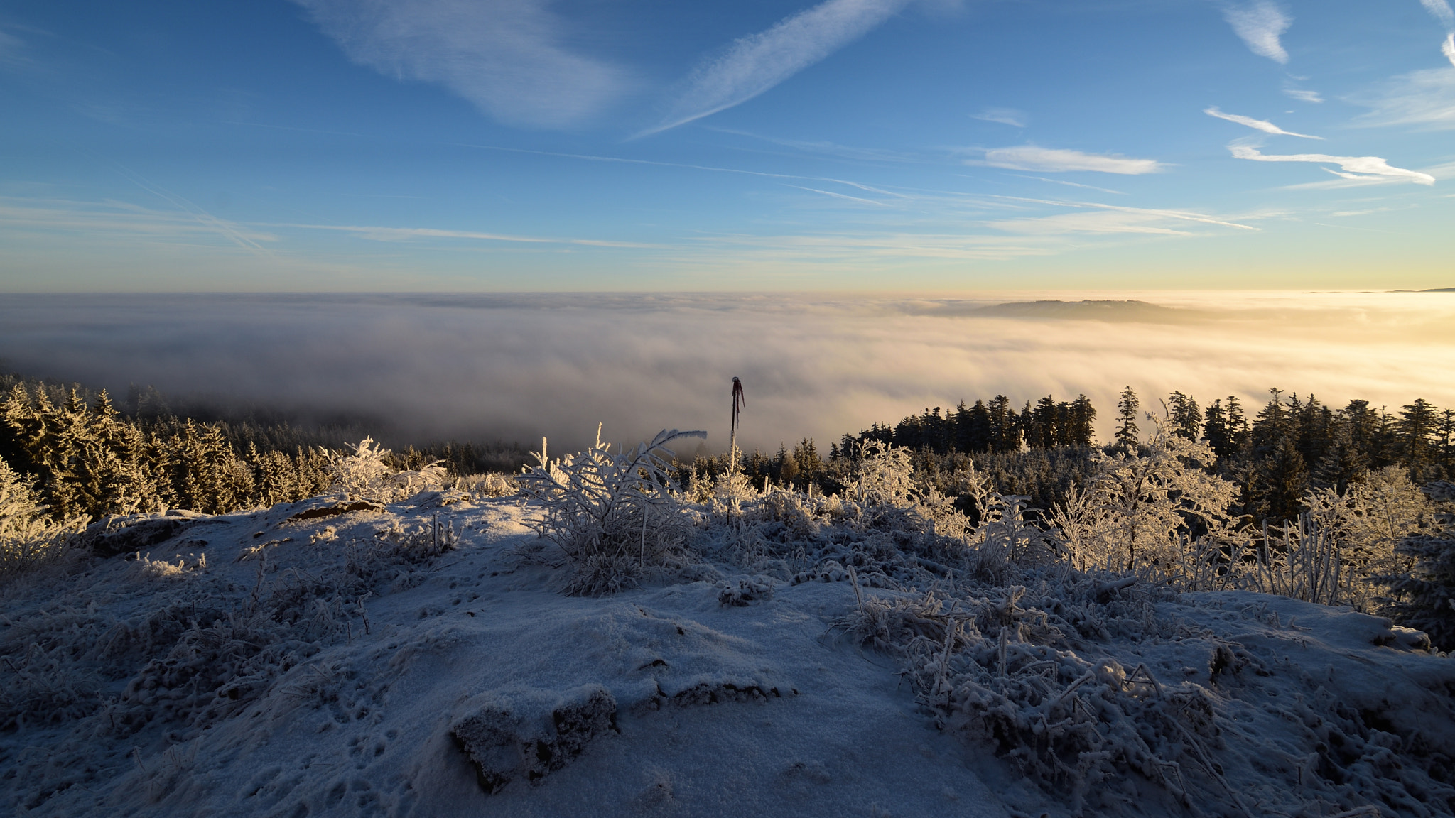 Nikon D5500 sample photo. Svatobor sušice photography