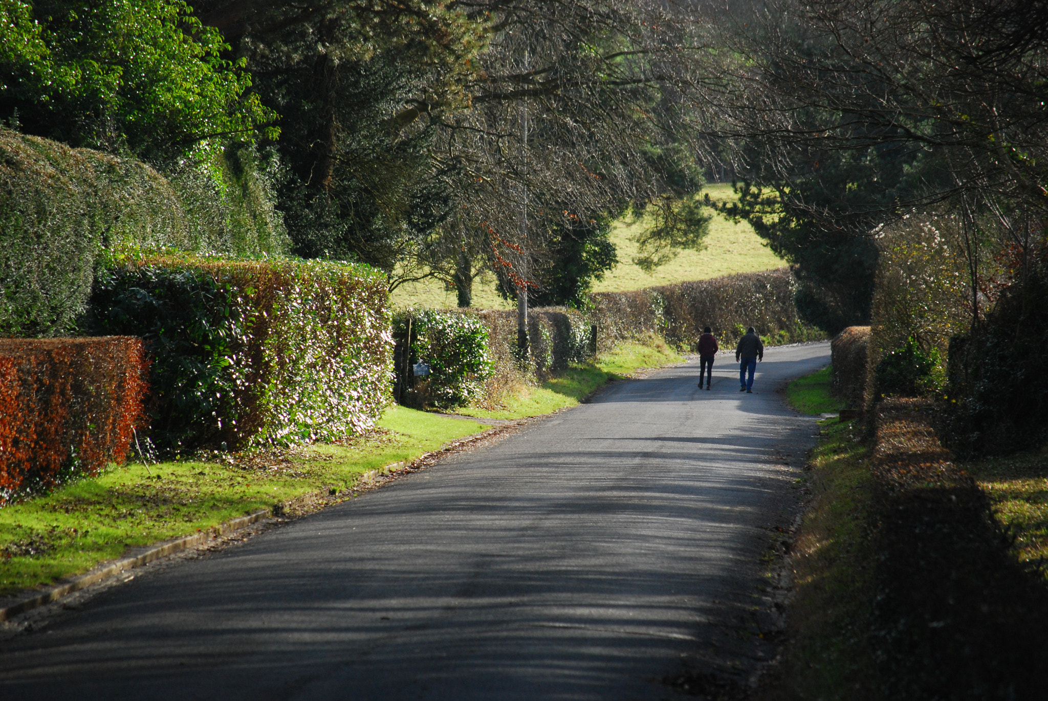 Nikon D80 sample photo. Long walk along station road, blagdon photography