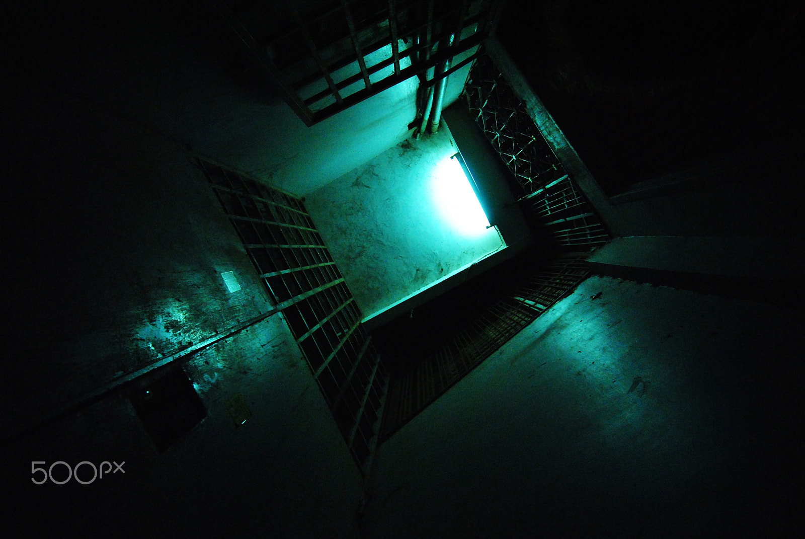 Sigma 10-20mm F4-5.6 EX DC HSM sample photo. The cell photography