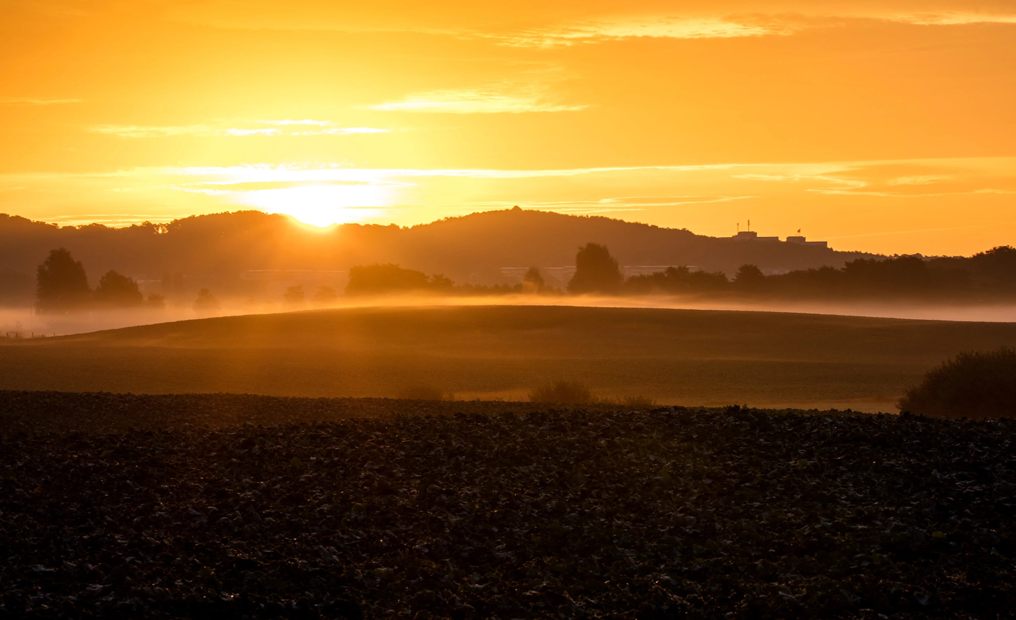 150-600mm F5-6.3 DG OS HSM | Contemporary 015 sample photo. Sunrise on the island rügen photography