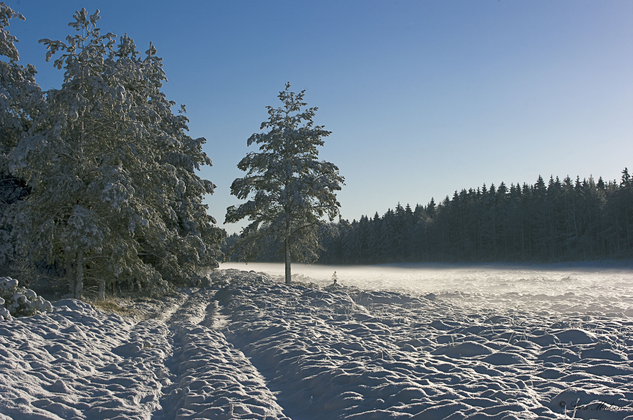 Pentax K20D sample photo. Winter in kompedal forest. photography