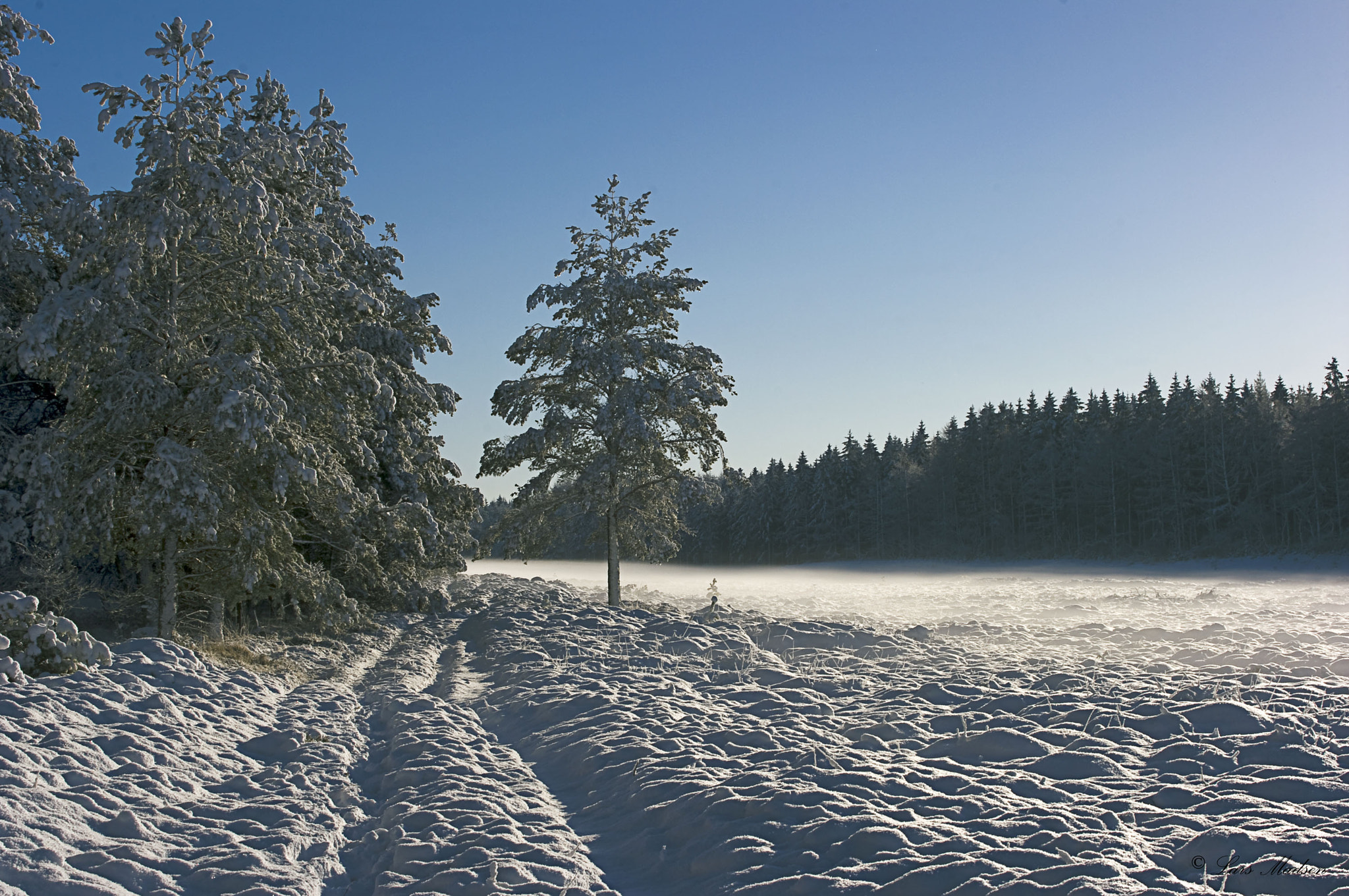 smc PENTAX-F 35-105mm F4-5.6 sample photo. Winter in kompedal forest. photography