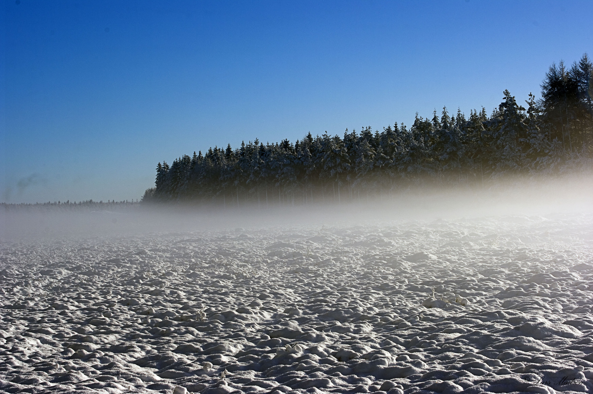 Pentax K20D sample photo. Winter in kompedal forest. photography