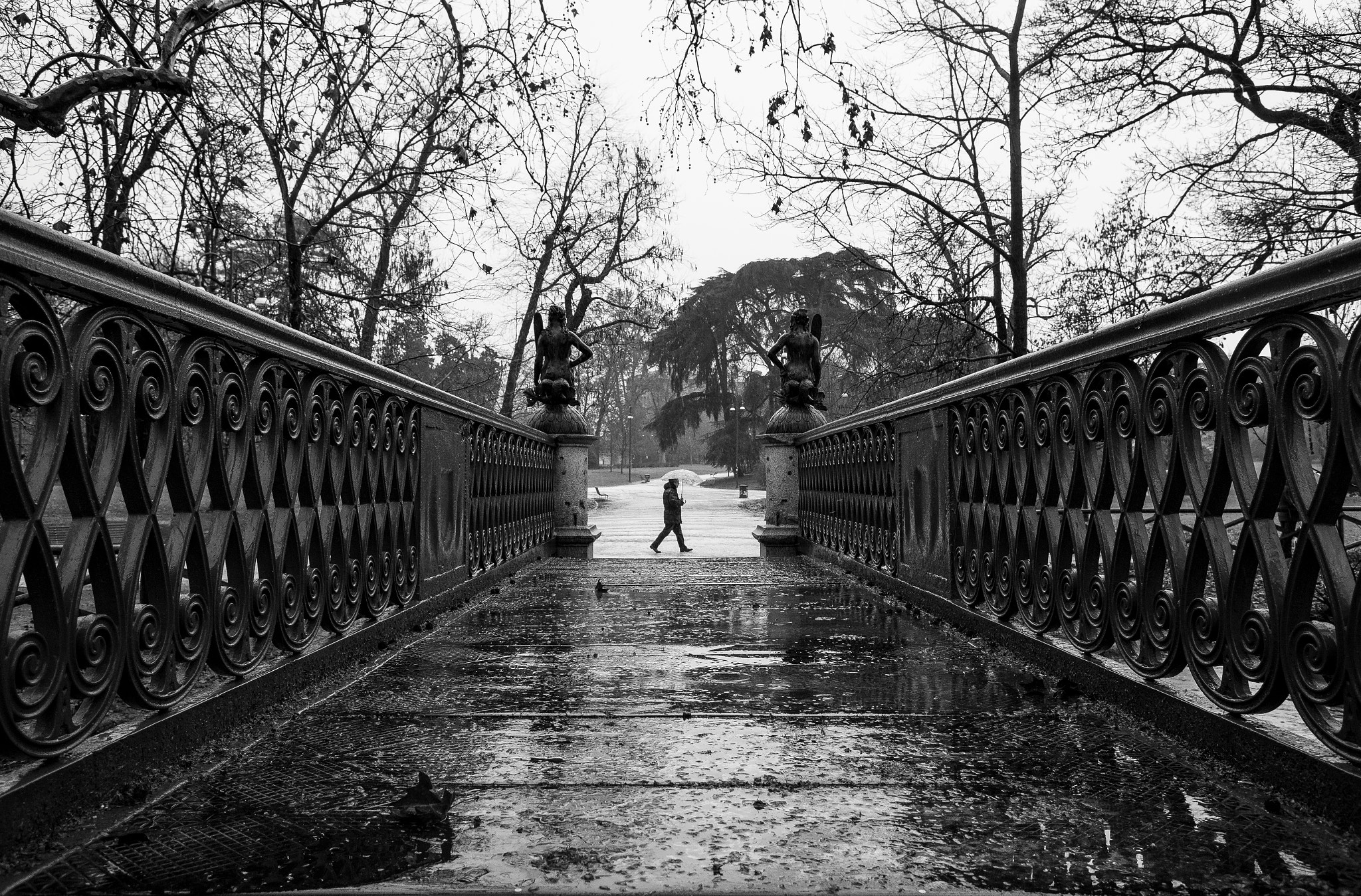 Canon EF 28mm F2.8 IS USM sample photo. Rainy day photography