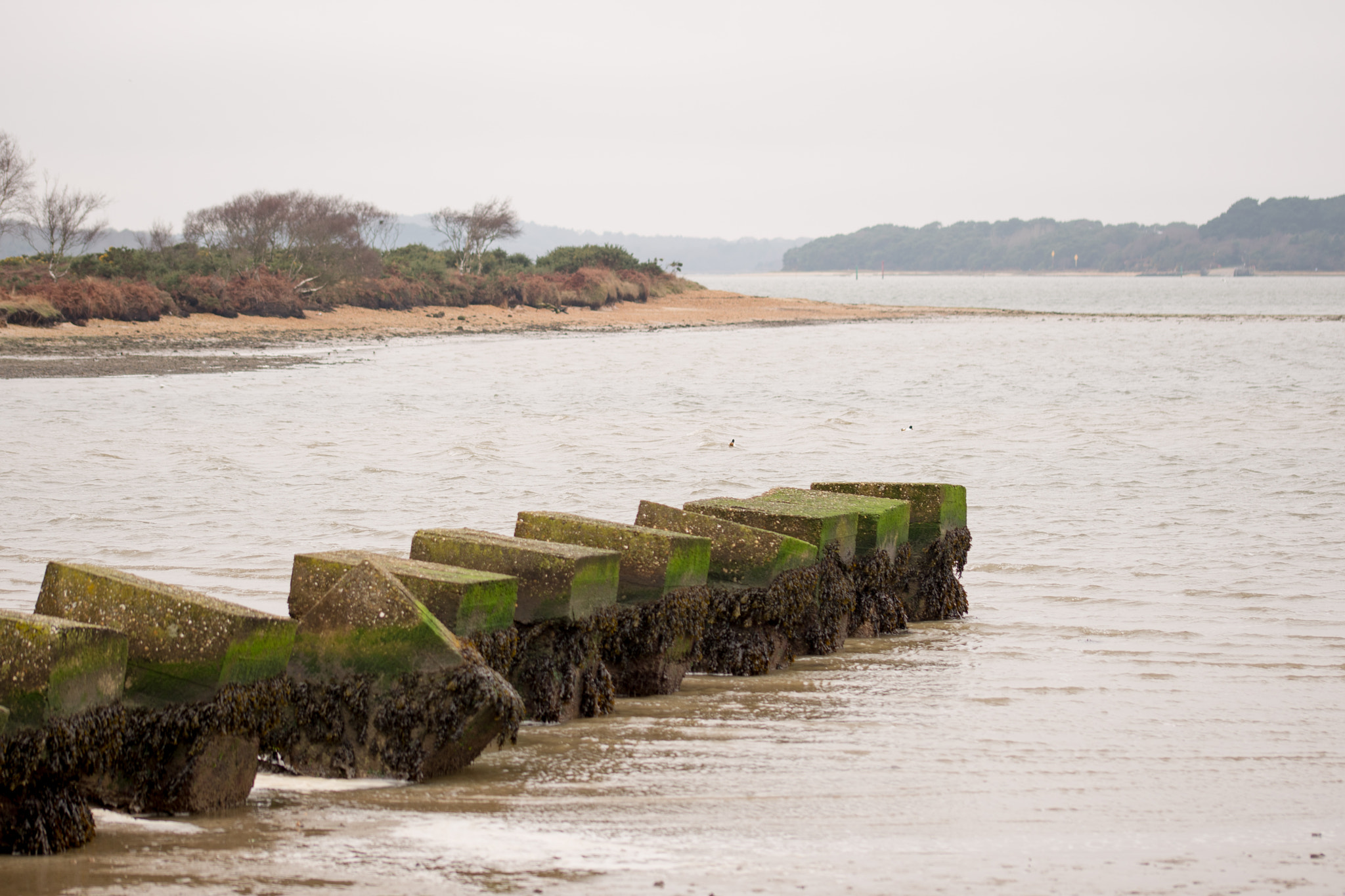 Nikon D610 sample photo. Coast defences, bramble bush bay, poole harbour photography