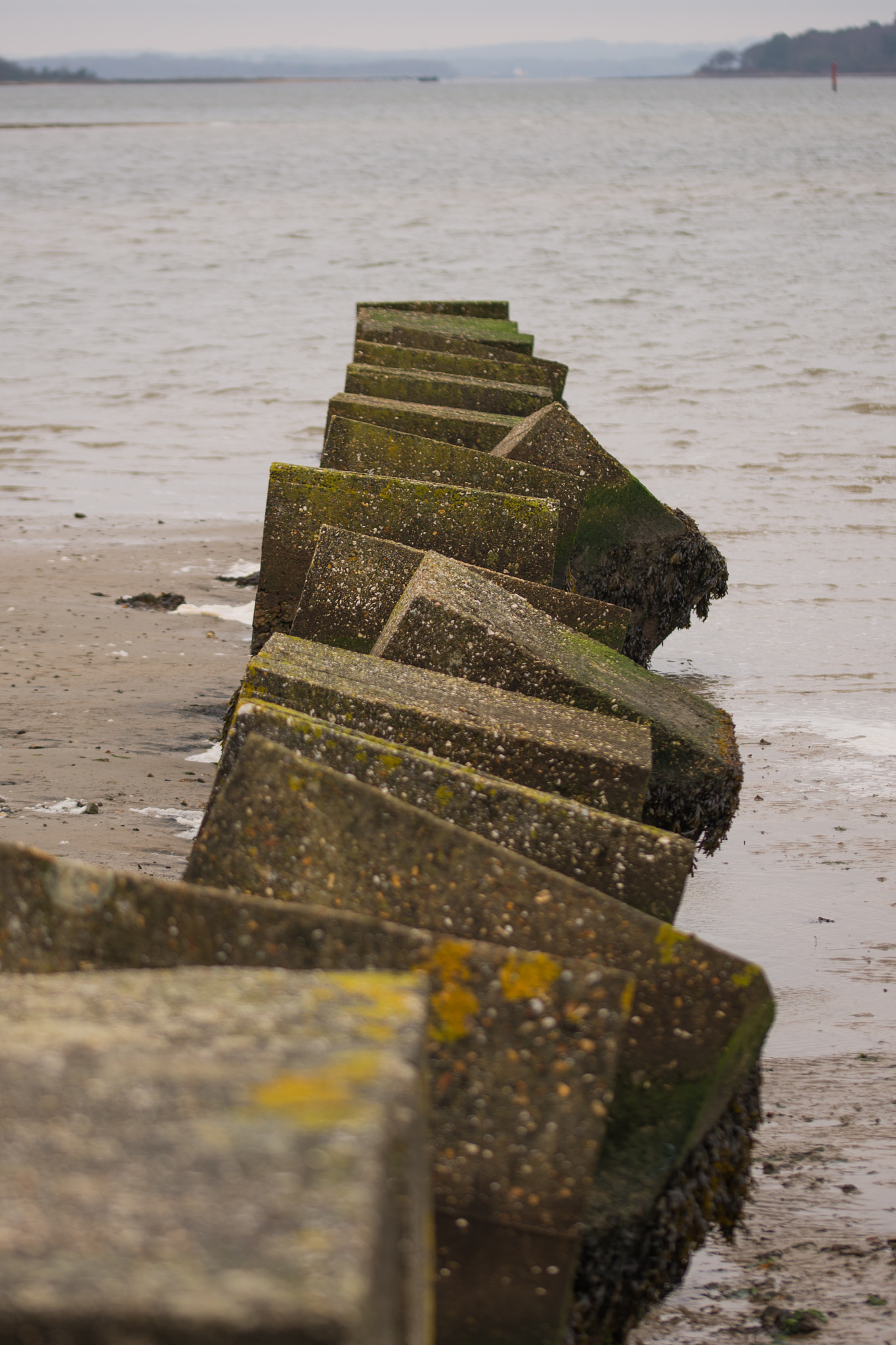 Sigma 105mm F2.8 EX DG OS HSM sample photo. Coast defences, bramble bush bay, poole harbour photography