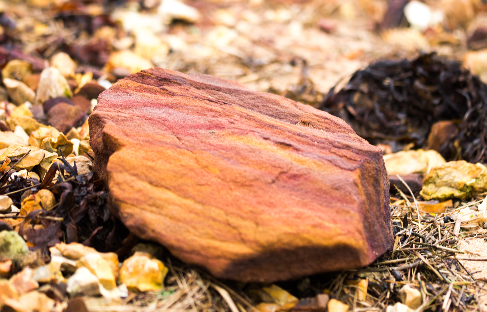 Sigma 105mm F2.8 EX DG OS HSM sample photo. Sandstone, jerry's point poole harbour photography