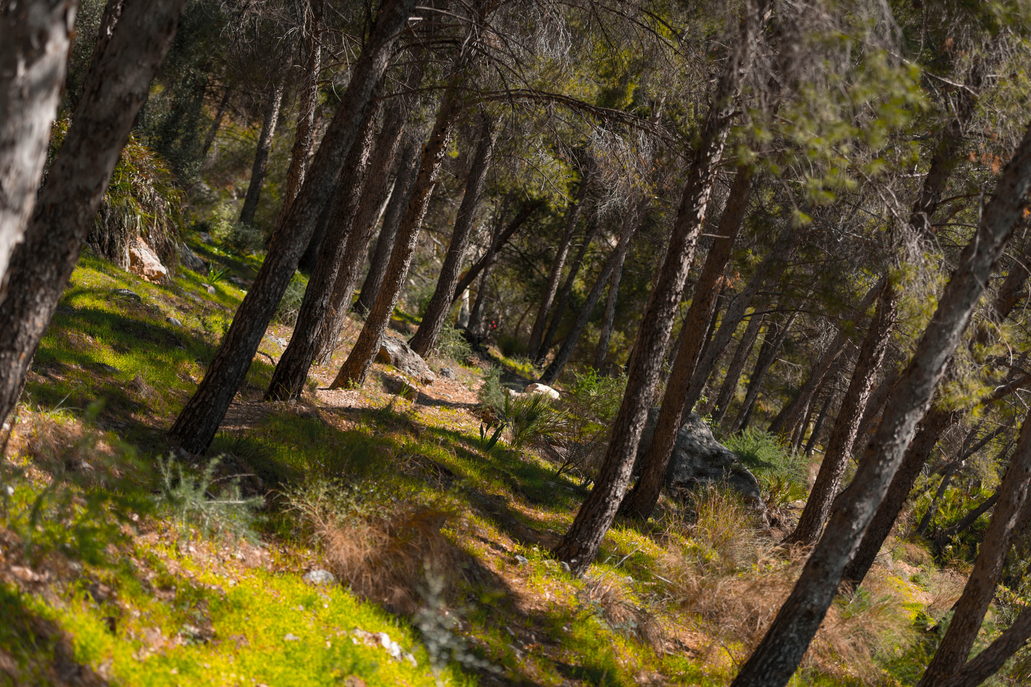 70-200mm F2.8-2.8 G sample photo. Peaceful moments photography