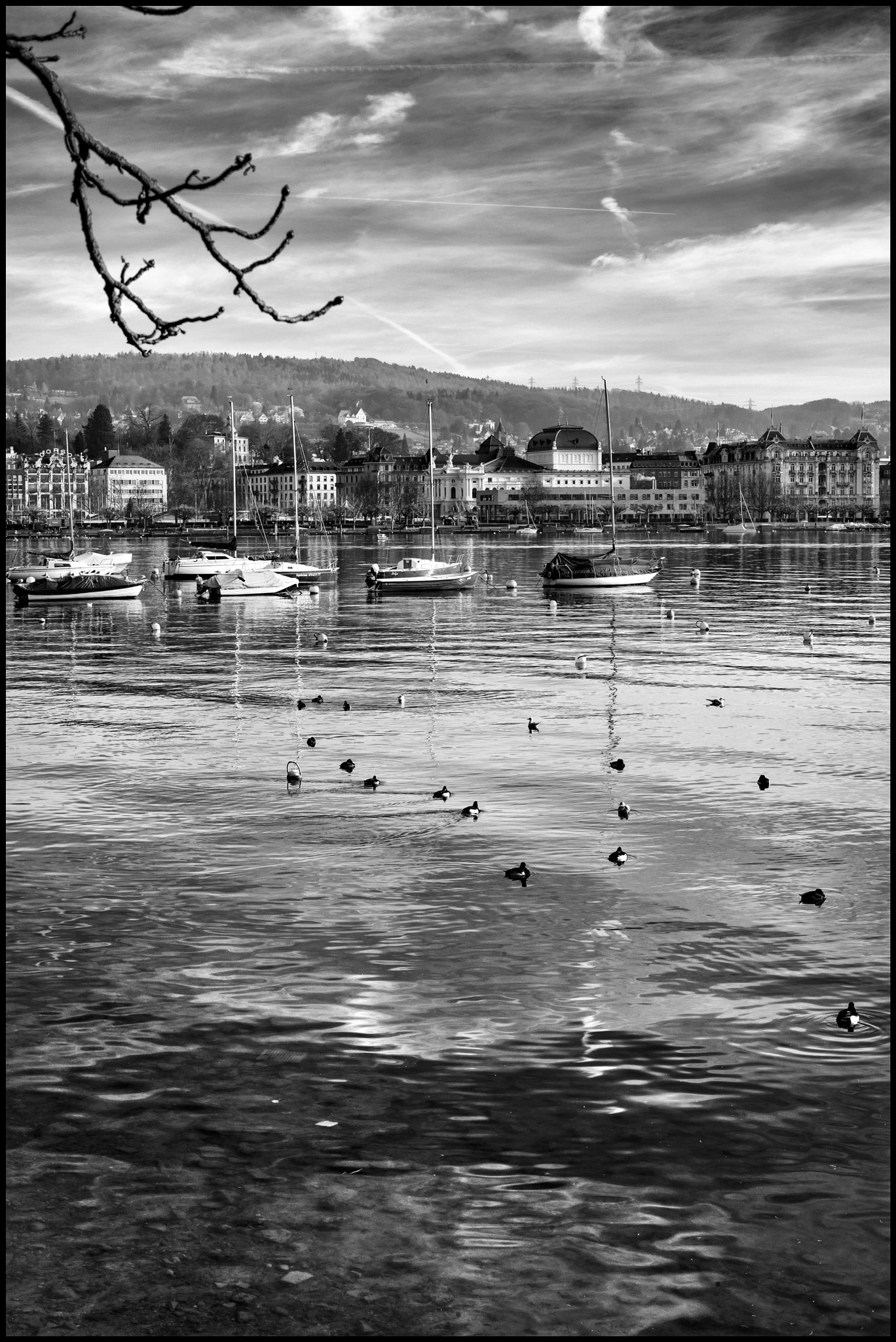 Leica Noctilux-M 50mm F0.95 ASPH sample photo. Seagulls and the lake.... photography
