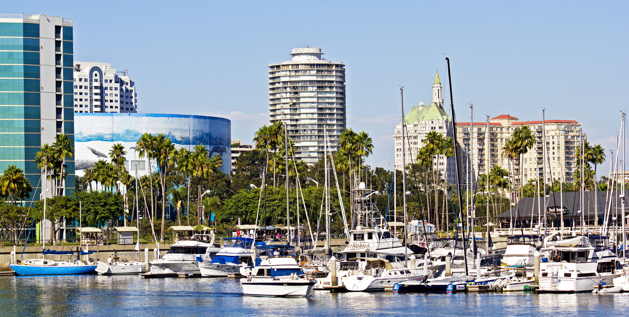 Canon EF-S 55-250mm F4-5.6 IS sample photo. Long beach at shoreline village photography