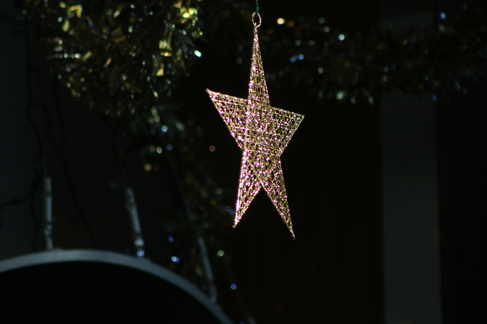 Canon EOS 750D (EOS Rebel T6i / EOS Kiss X8i) + EF75-300mm f/4-5.6 sample photo. Img photography