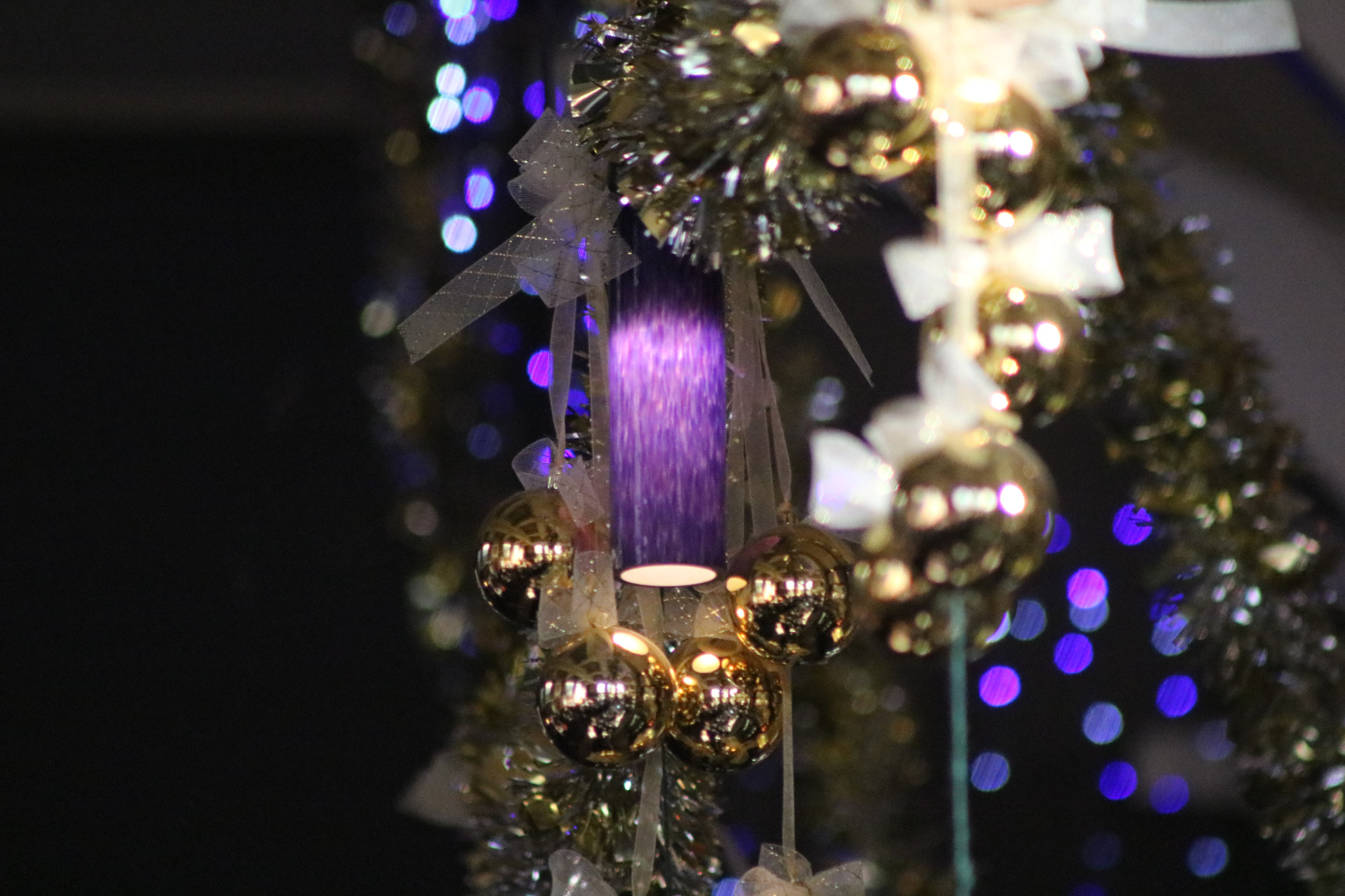 Canon EOS 750D (EOS Rebel T6i / EOS Kiss X8i) + EF75-300mm f/4-5.6 sample photo. Img photography