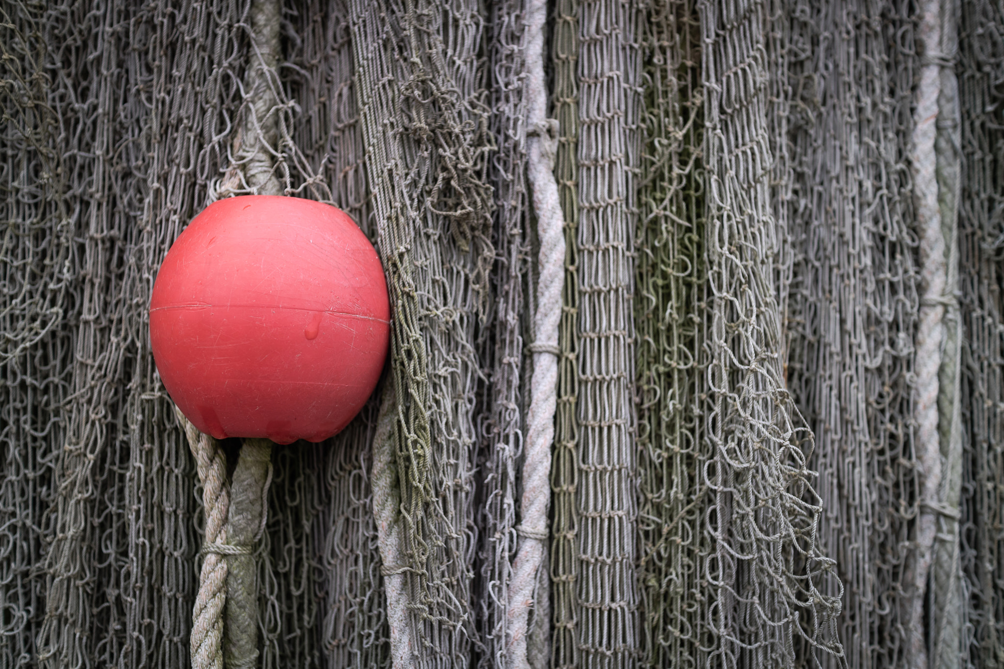 Canon EOS M3 + Canon EF-M 22mm F2 STM sample photo. Fisher net photography