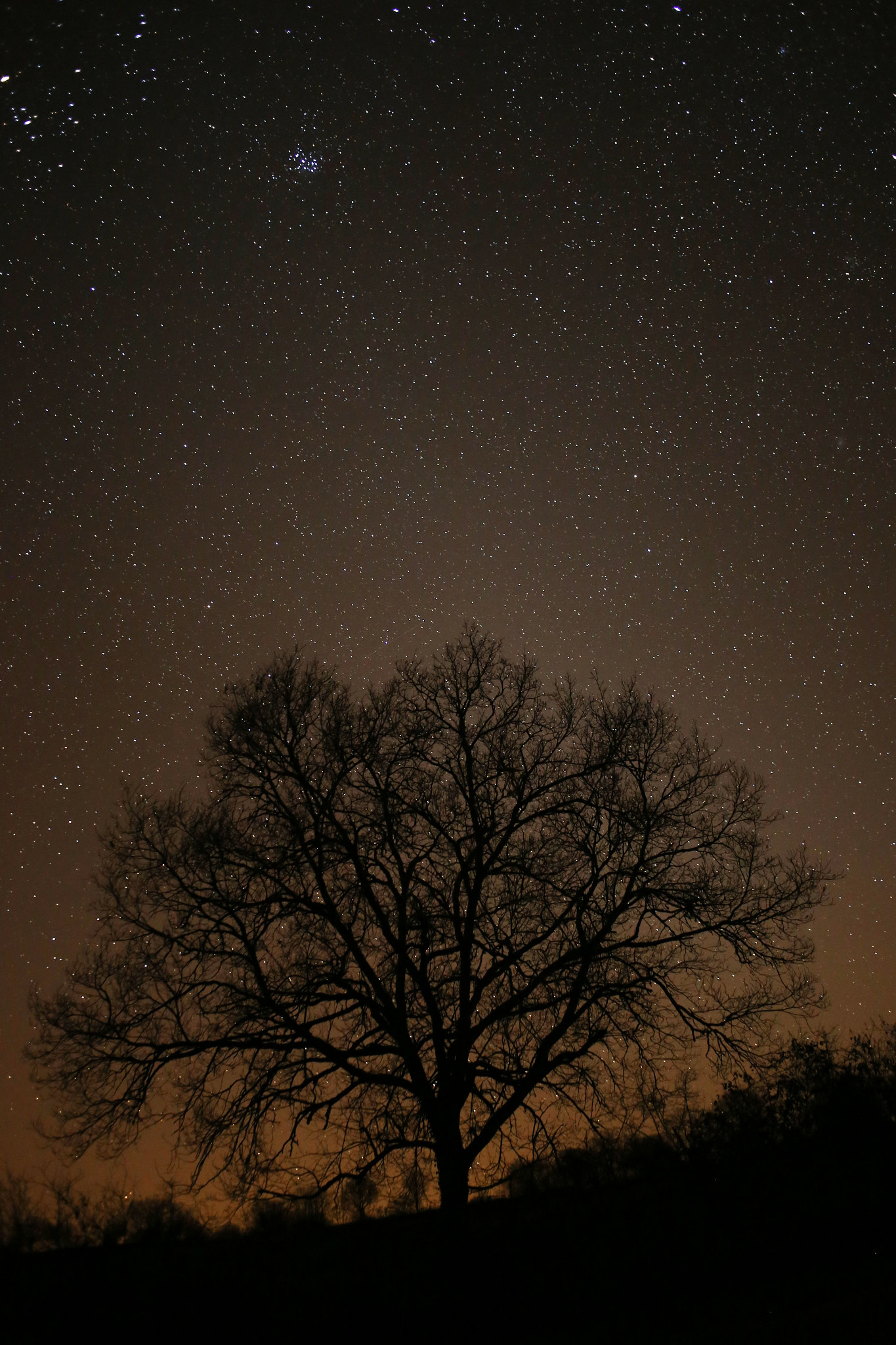 Canon EOS 6D + Canon EF 28mm F2.8 sample photo. Lot naturellement photography