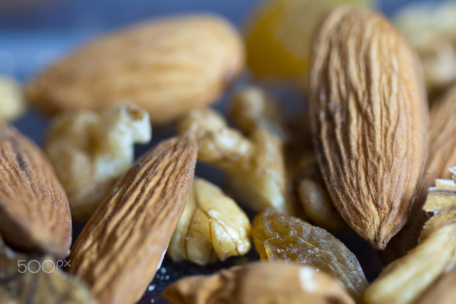 Canon EF 100mm F2.8 Macro USM sample photo. Macro shots of various dry fruit items such as almonds, walnuts, photography