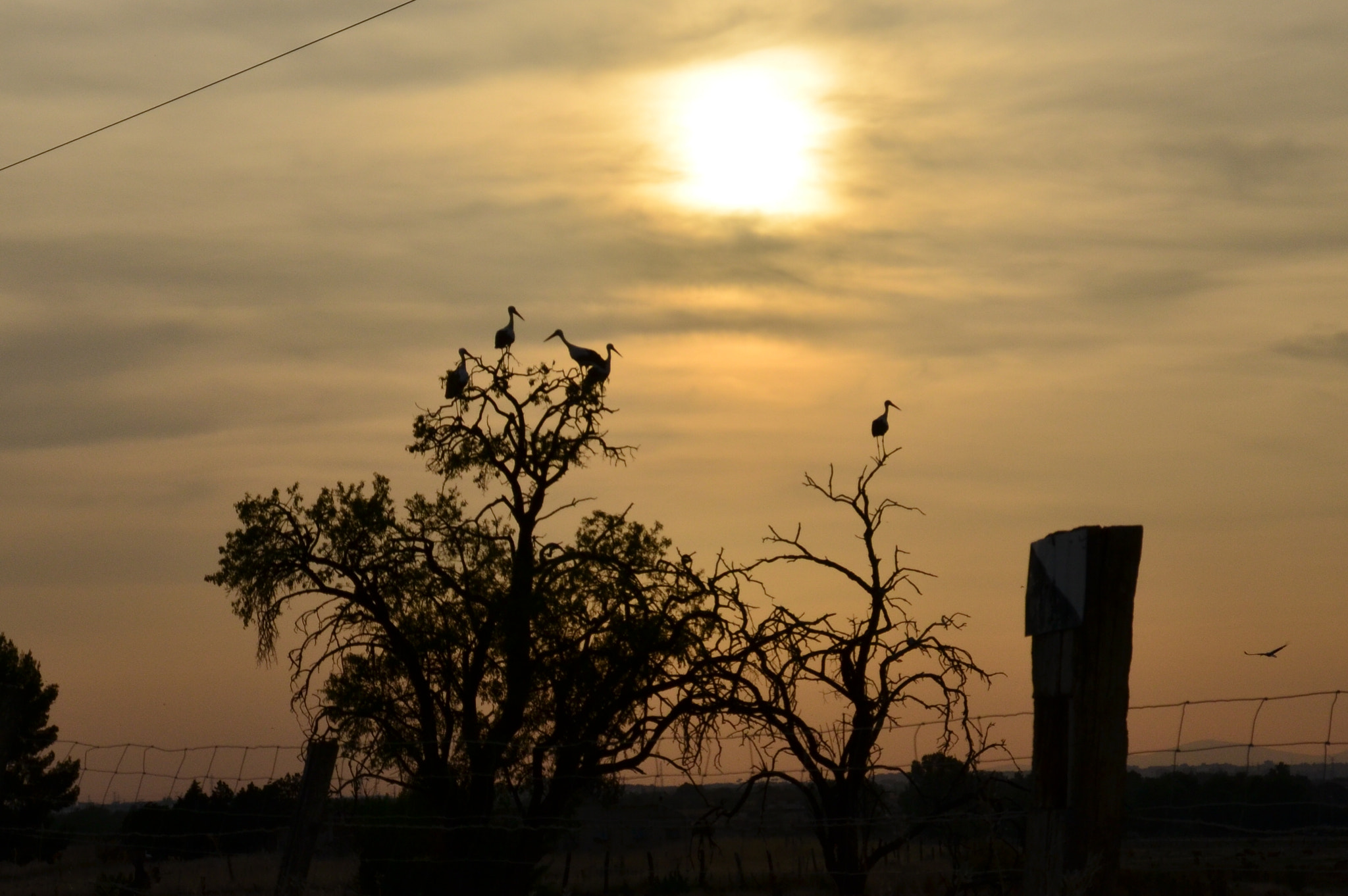 Sigma 18-200mm F3.5-6.3 II DC OS HSM sample photo. Atardece en el parque regional del sureste... en getafe, madrid!!! photography