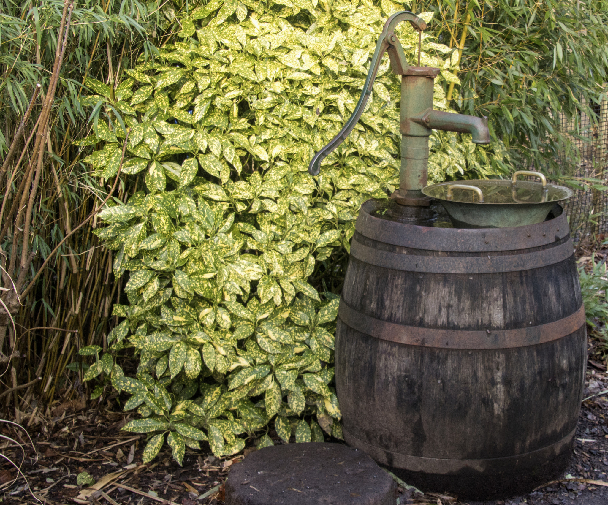 Canon EOS 750D (EOS Rebel T6i / EOS Kiss X8i) sample photo. Water pump innovation photography