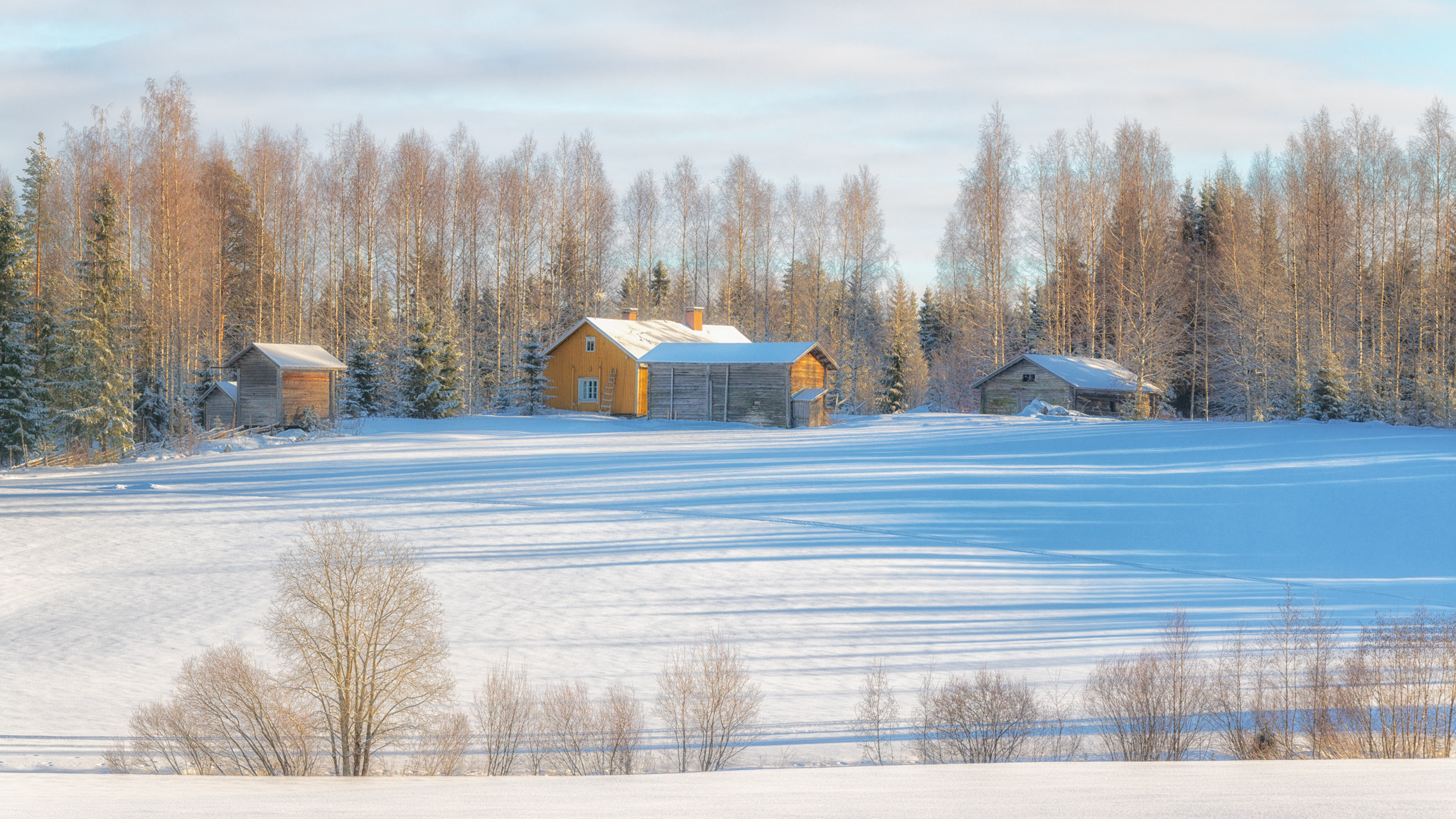 Canon EF 70-200mm F4L IS USM sample photo. Enough snow photography