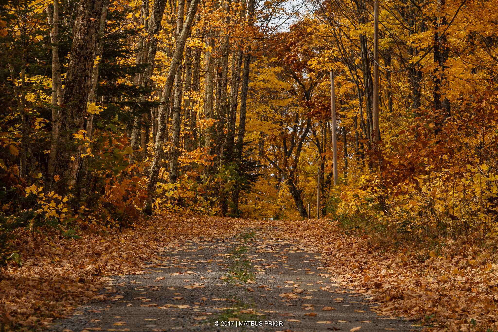 Canon EF-S 55-250mm F4-5.6 IS STM sample photo. Side roads photography