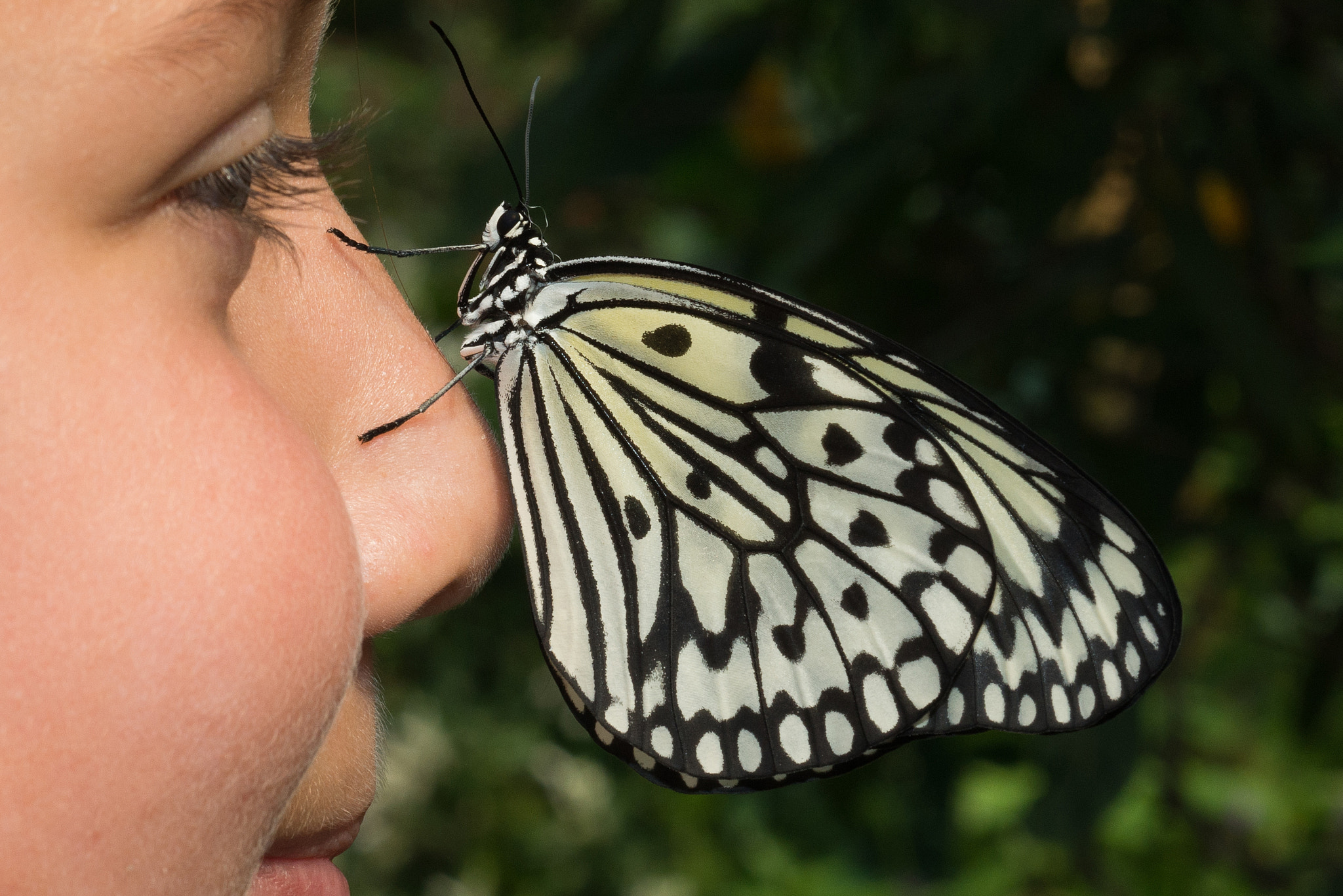 Nikon D800 + AF Micro-Nikkor 55mm f/2.8 sample photo. Face to face photography