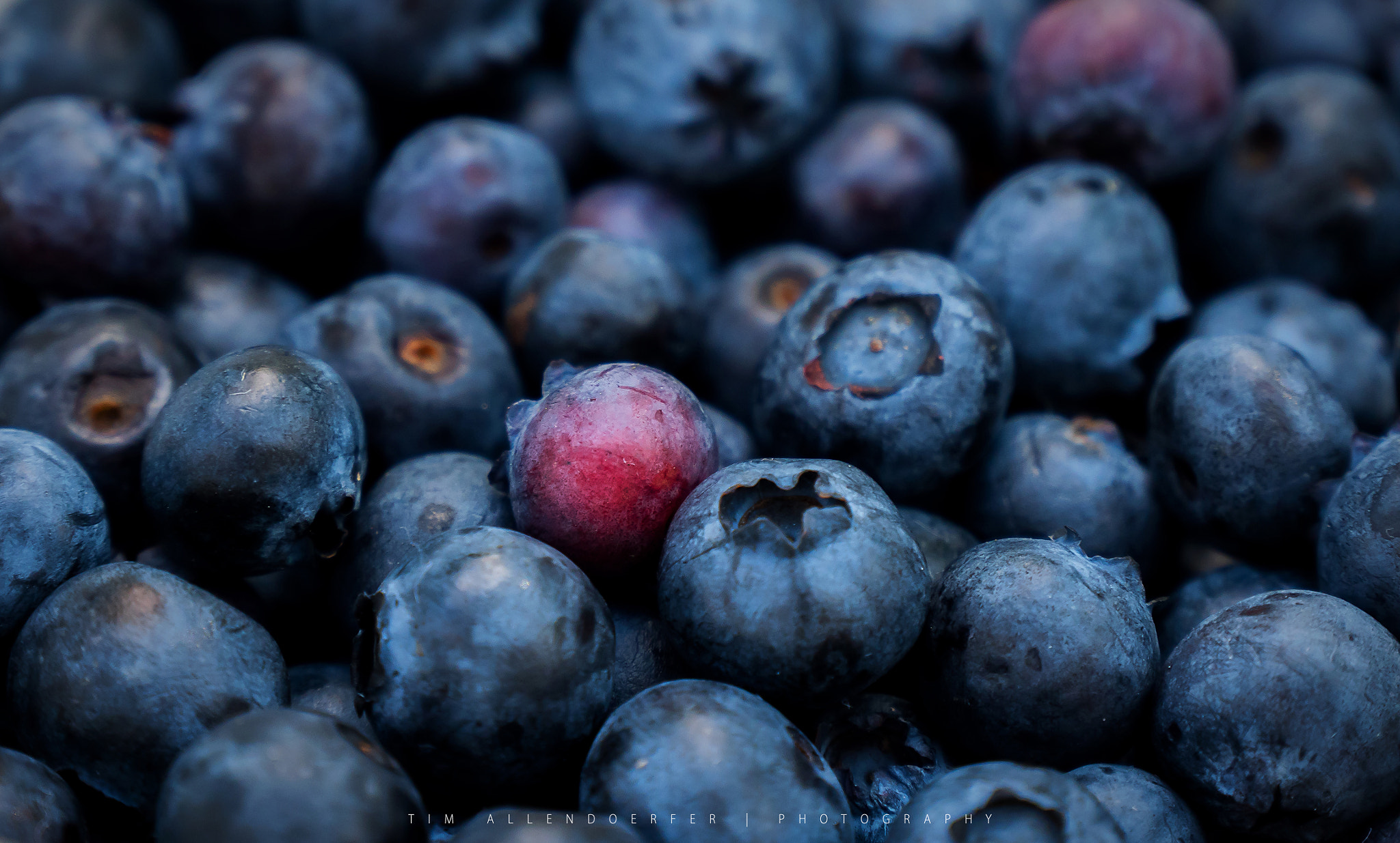 Panasonic Lumix DMC-GH4 sample photo. Red within blue photography