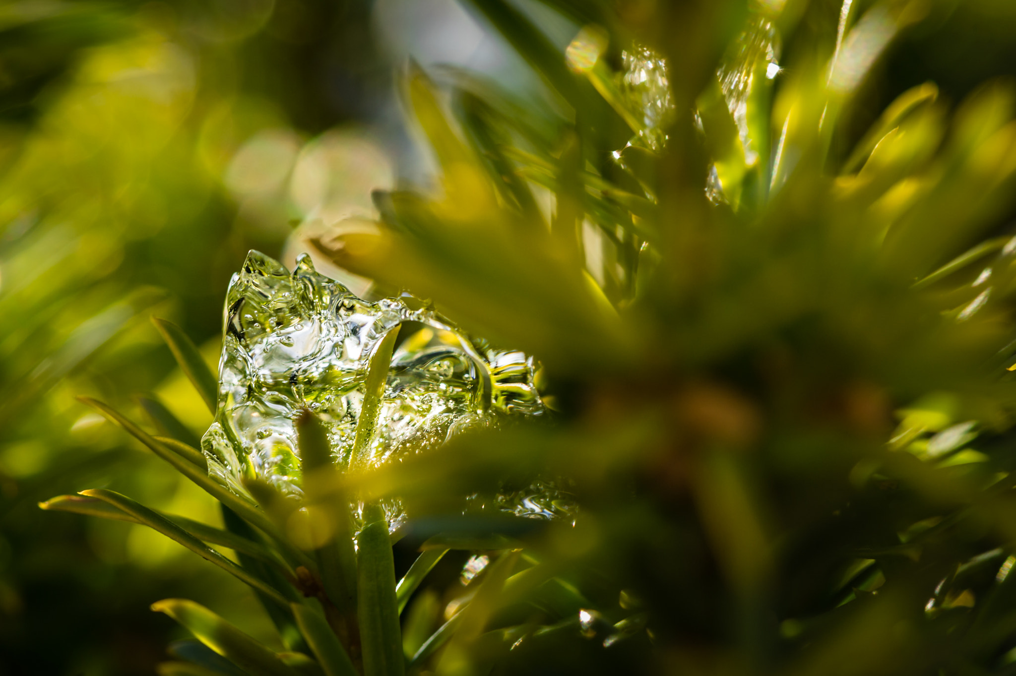 Nikon D3S sample photo. Leftover photography