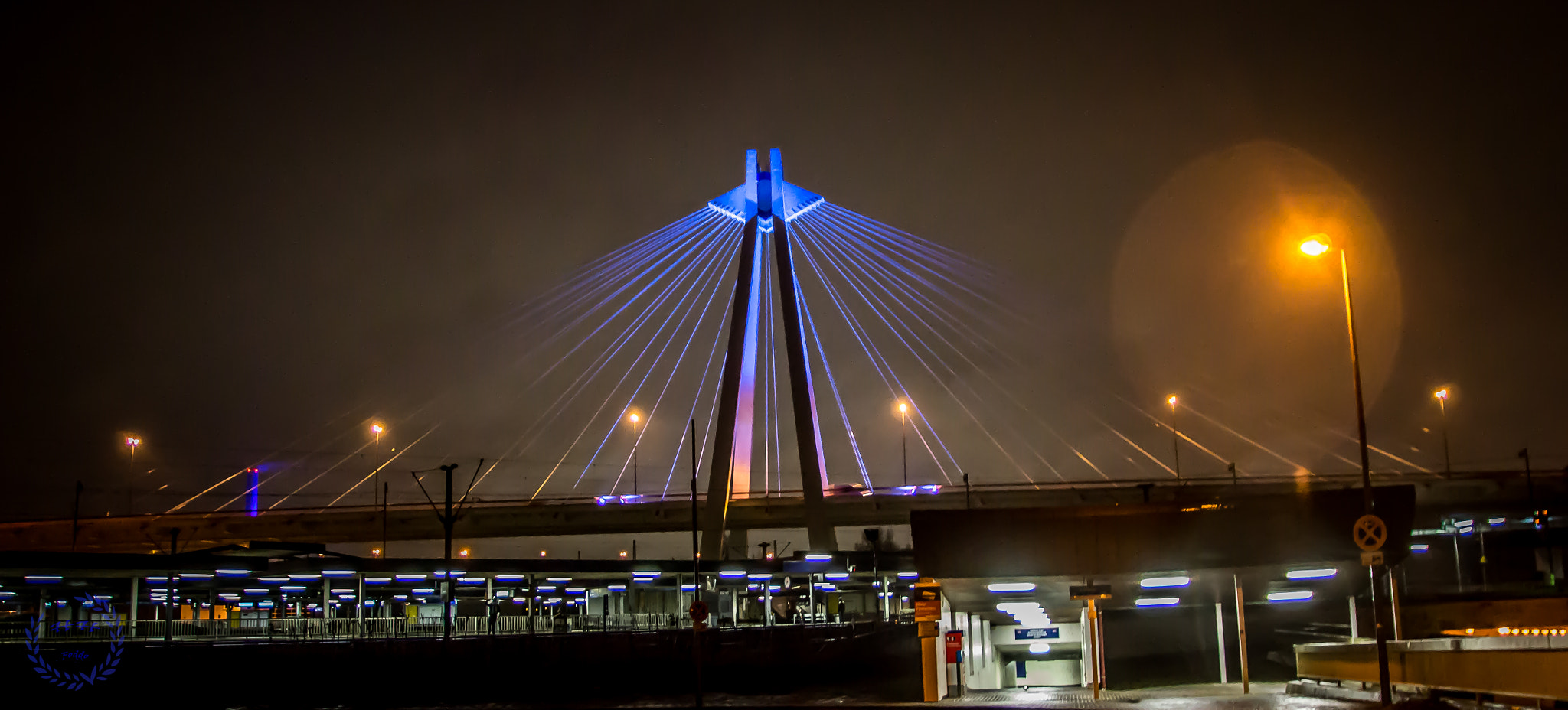 Sony SLT-A77 sample photo. Bridge photography