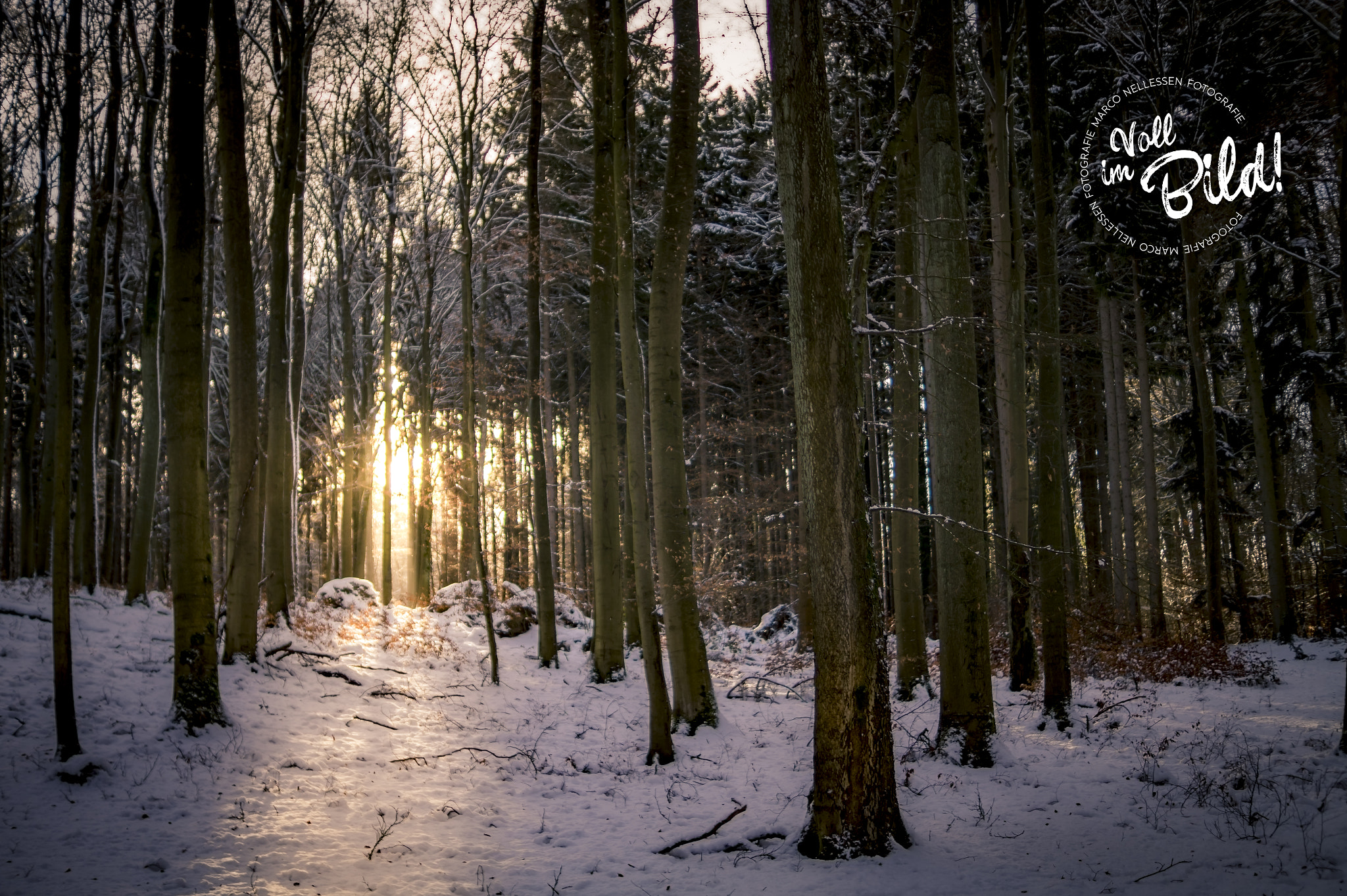 Sony DT 35mm F1.8 SAM sample photo. Light guiding the path photography