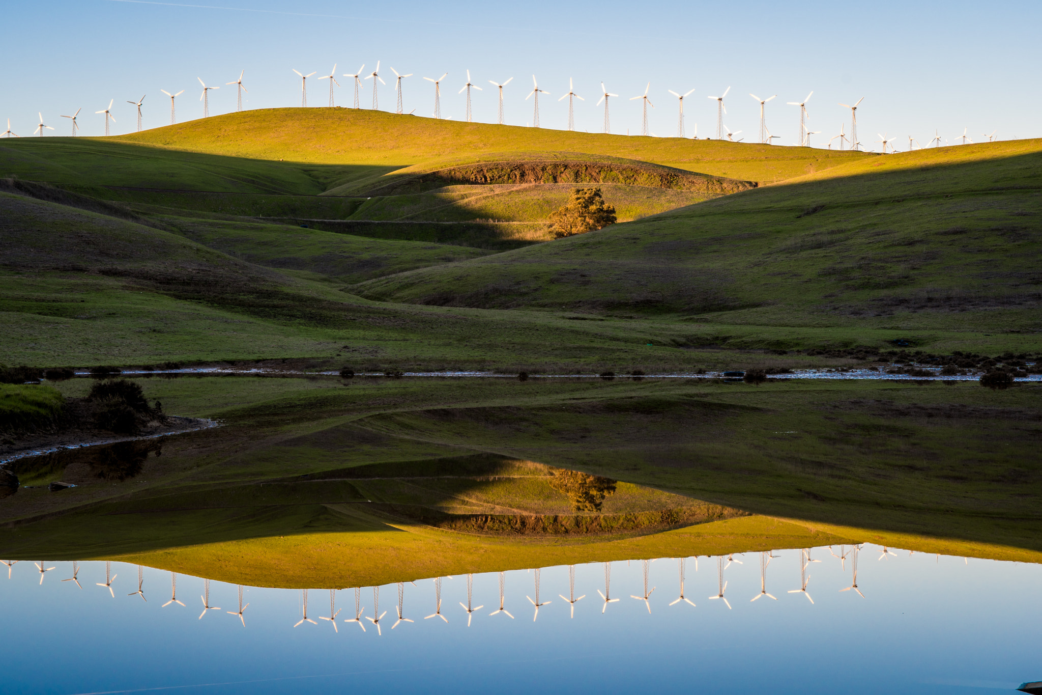 Nikon D500 sample photo. Renewable reflection photography