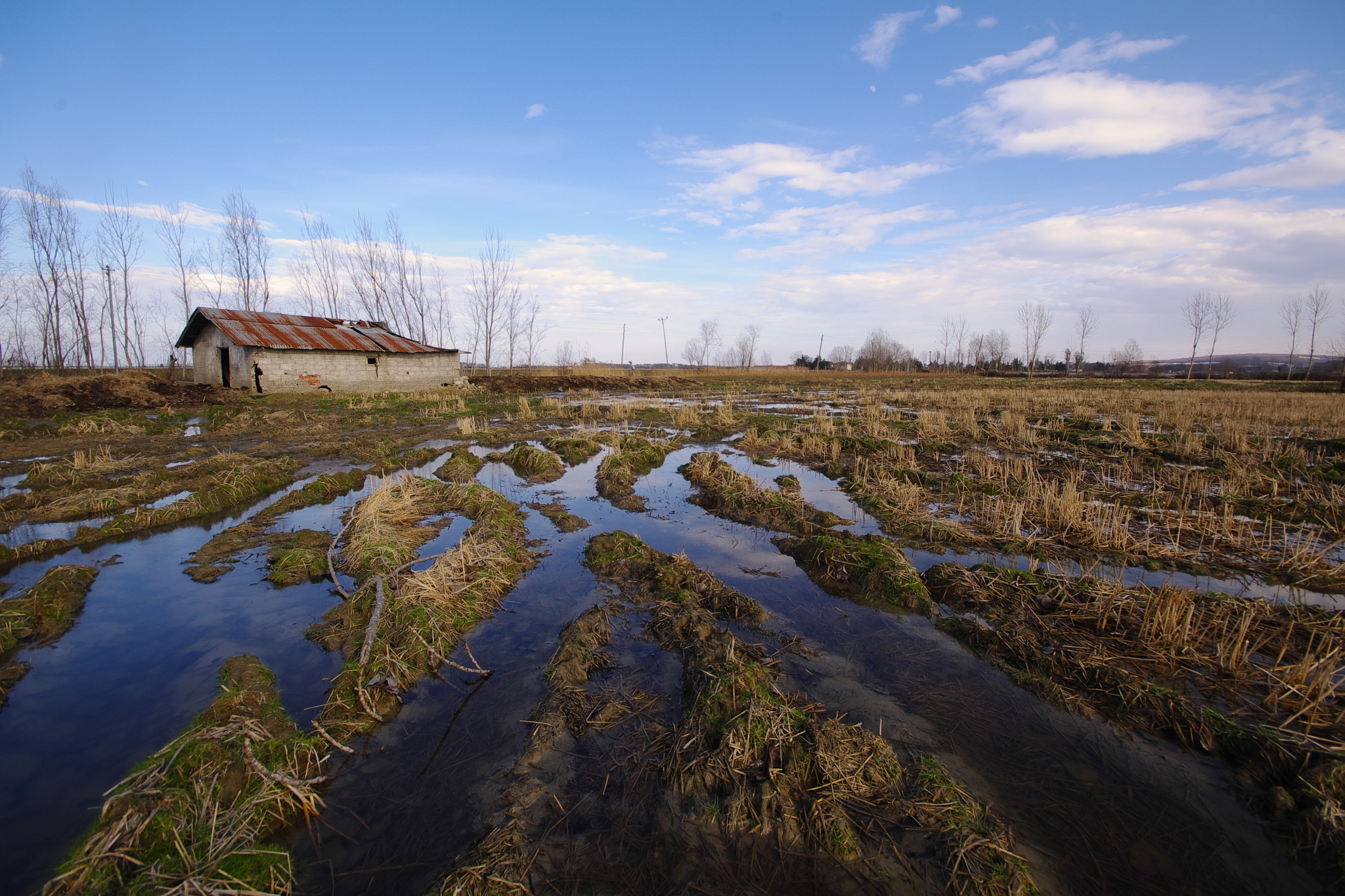 Pentax K-7 + Sigma AF 10-20mm F4-5.6 EX DC sample photo. Bataklik photography