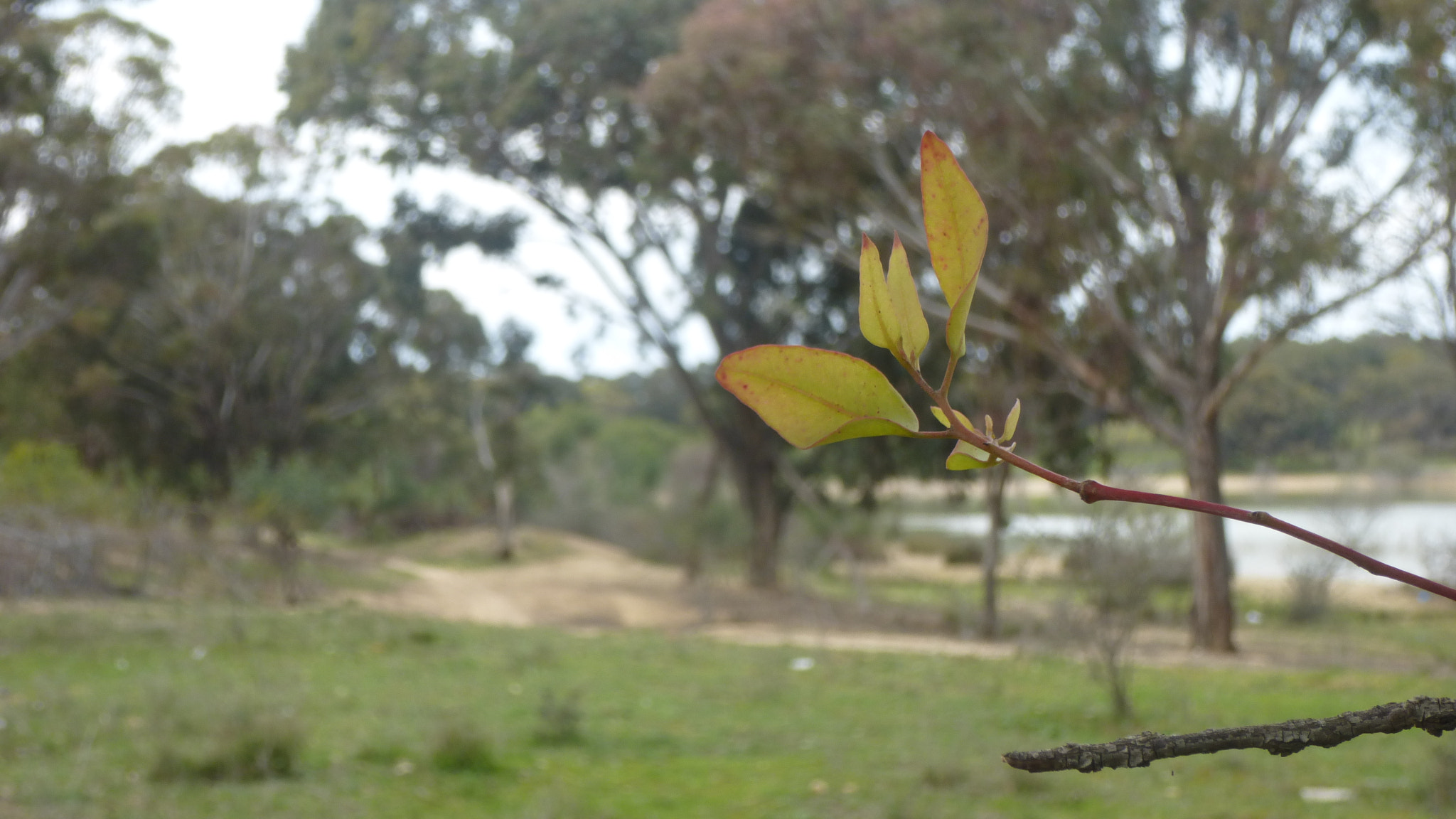 Panasonic DMC-SZ9 sample photo. The nature photography