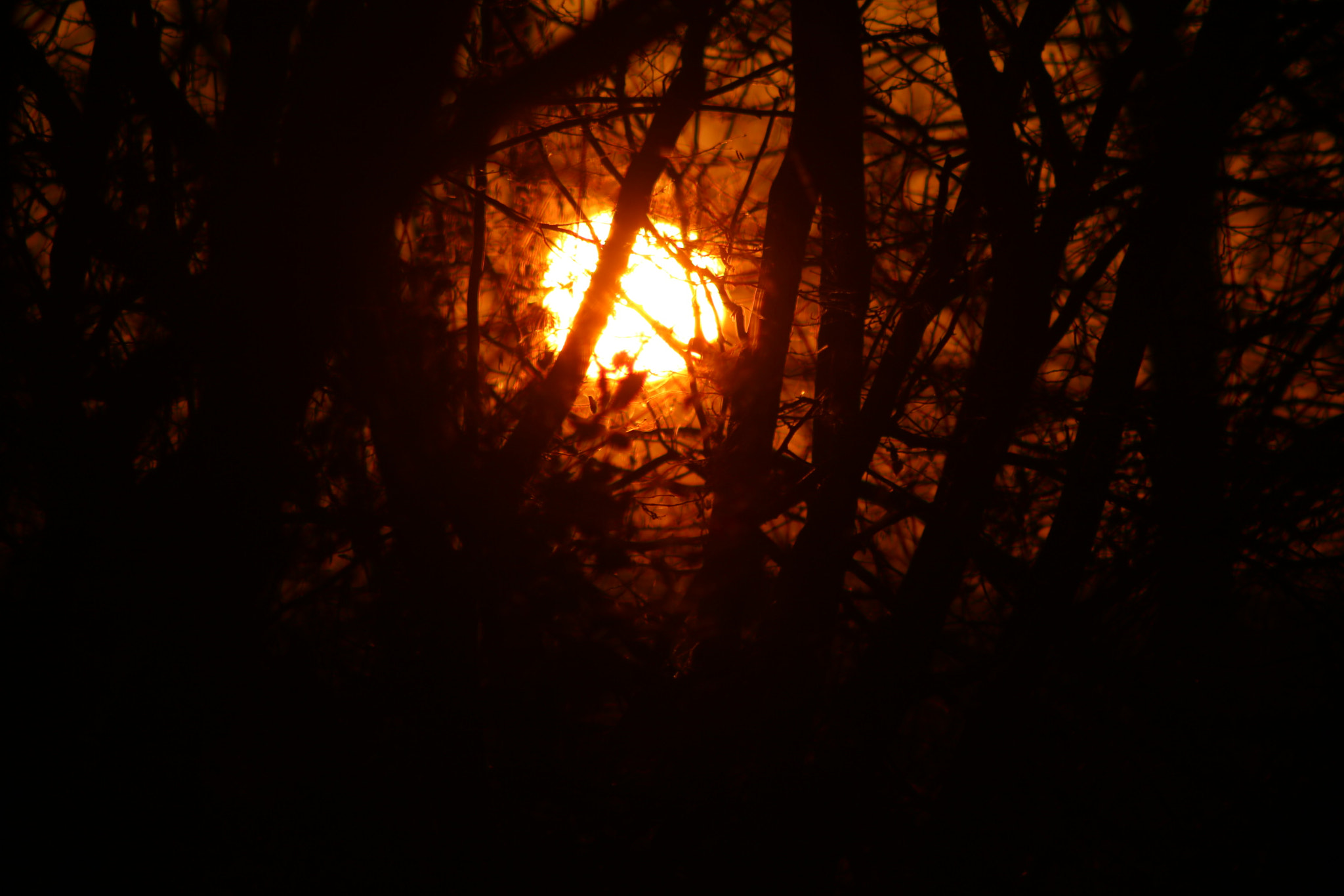 Canon EOS 750D (EOS Rebel T6i / EOS Kiss X8i) + EF75-300mm f/4-5.6 sample photo. Img photography