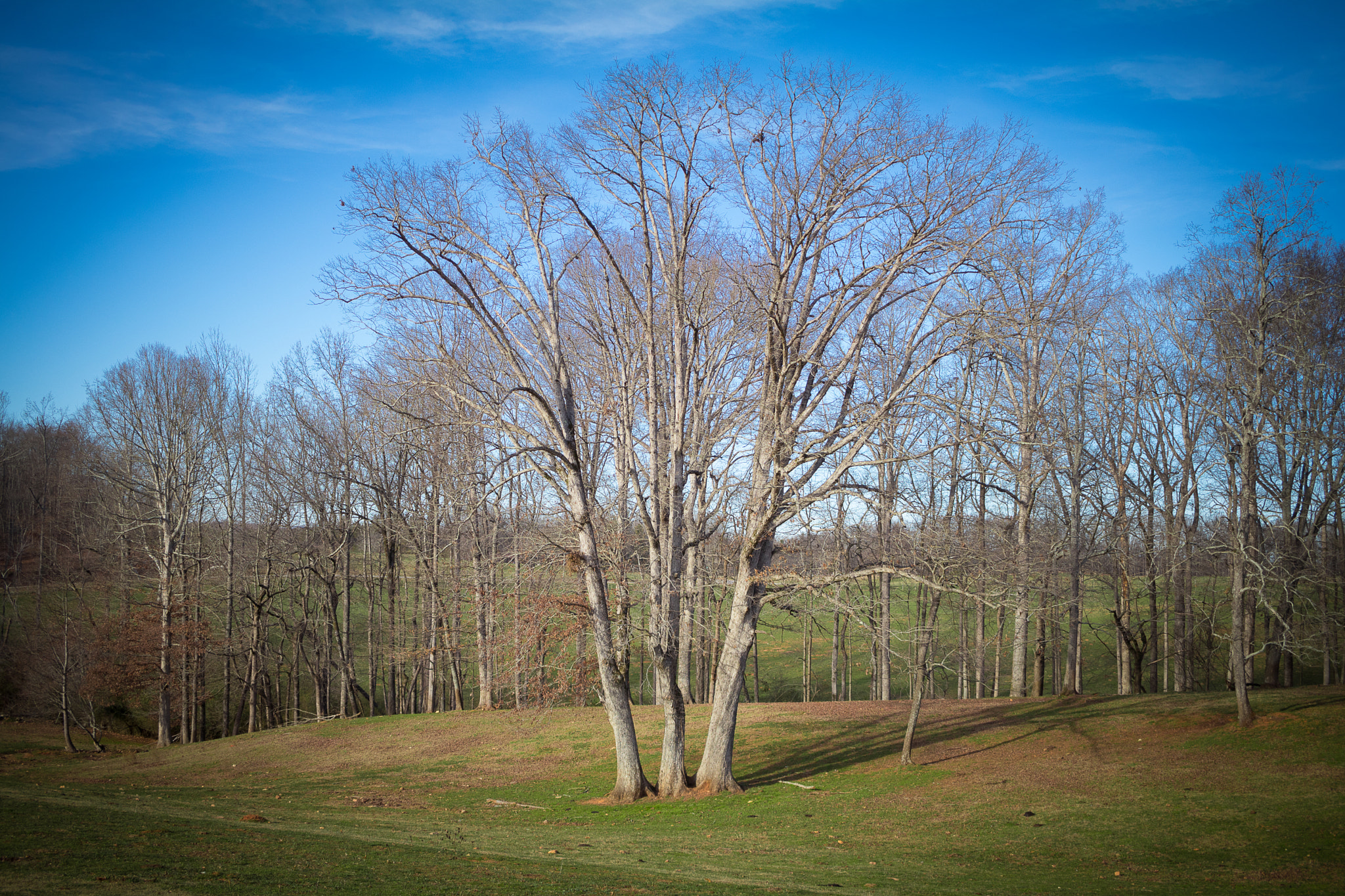 Canon EF-S 24mm F2.8 STM sample photo. Ternary photography