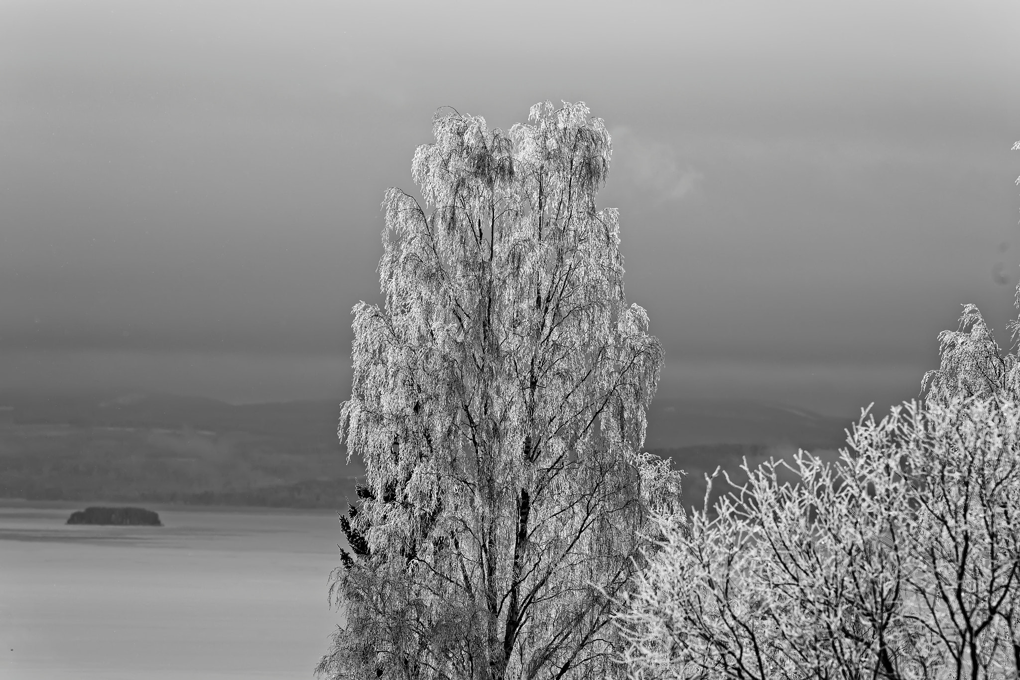Canon EF 300mm F4L IS USM sample photo. Winter view photography