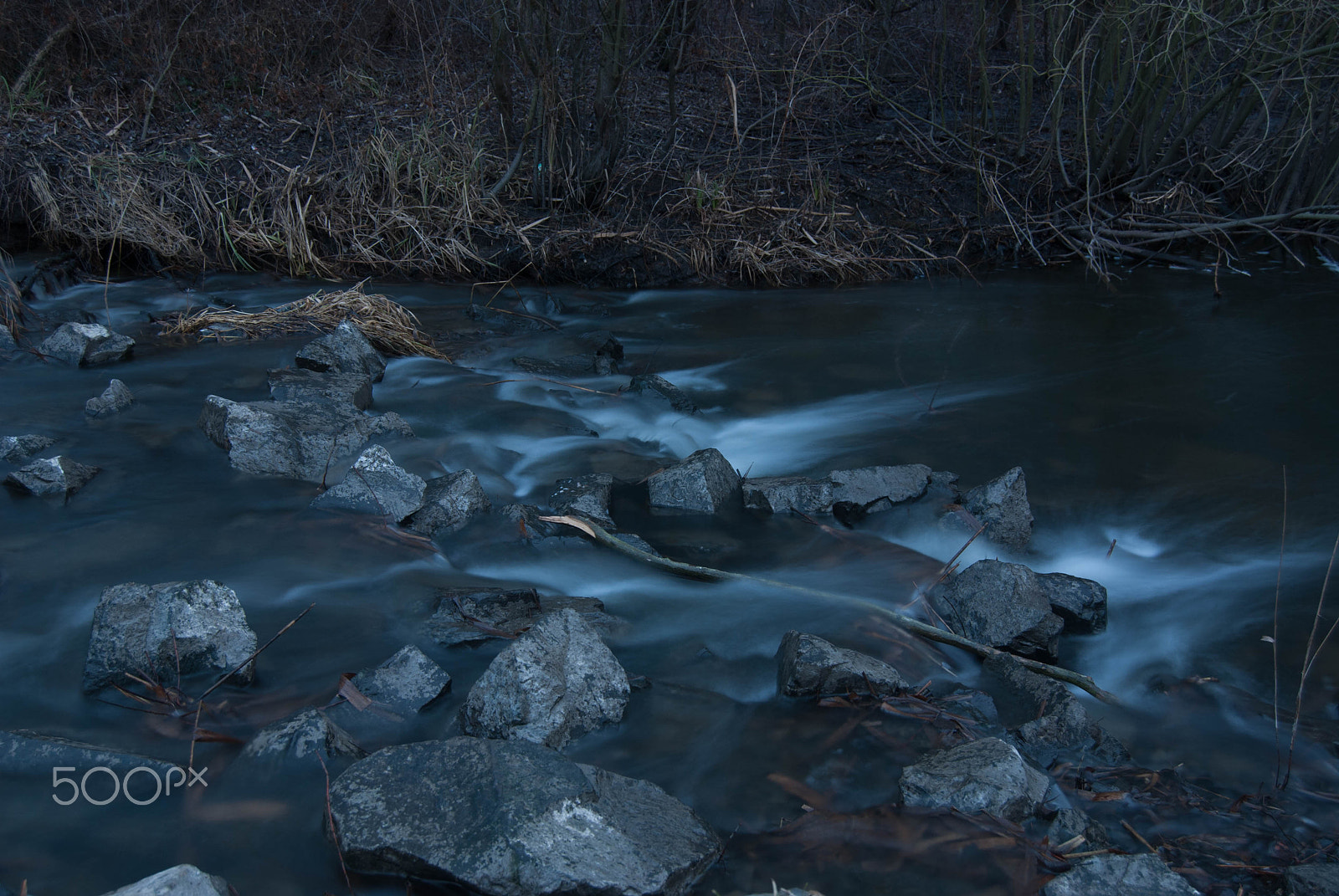 Nikon D80 sample photo. Near the lake photography