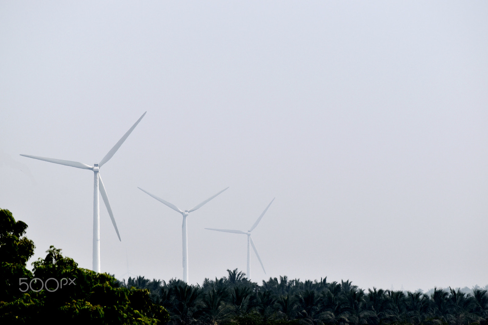 Nikon D5500 sample photo. Turbines receding into the background. photography