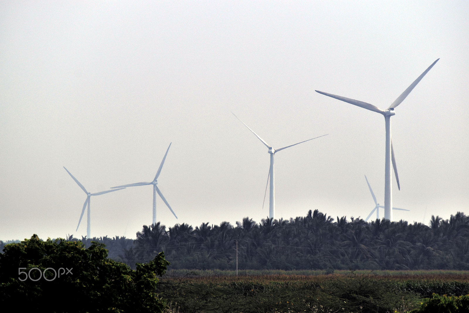 Nikon D5500 sample photo. A row of turbines photography