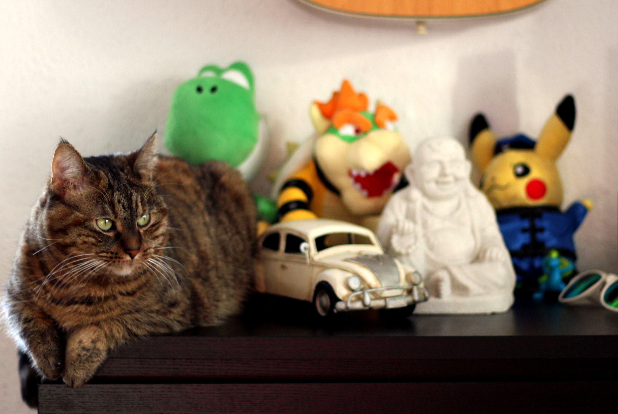 Canon EOS 100D (EOS Rebel SL1 / EOS Kiss X7) sample photo. A friend's cat :) photography