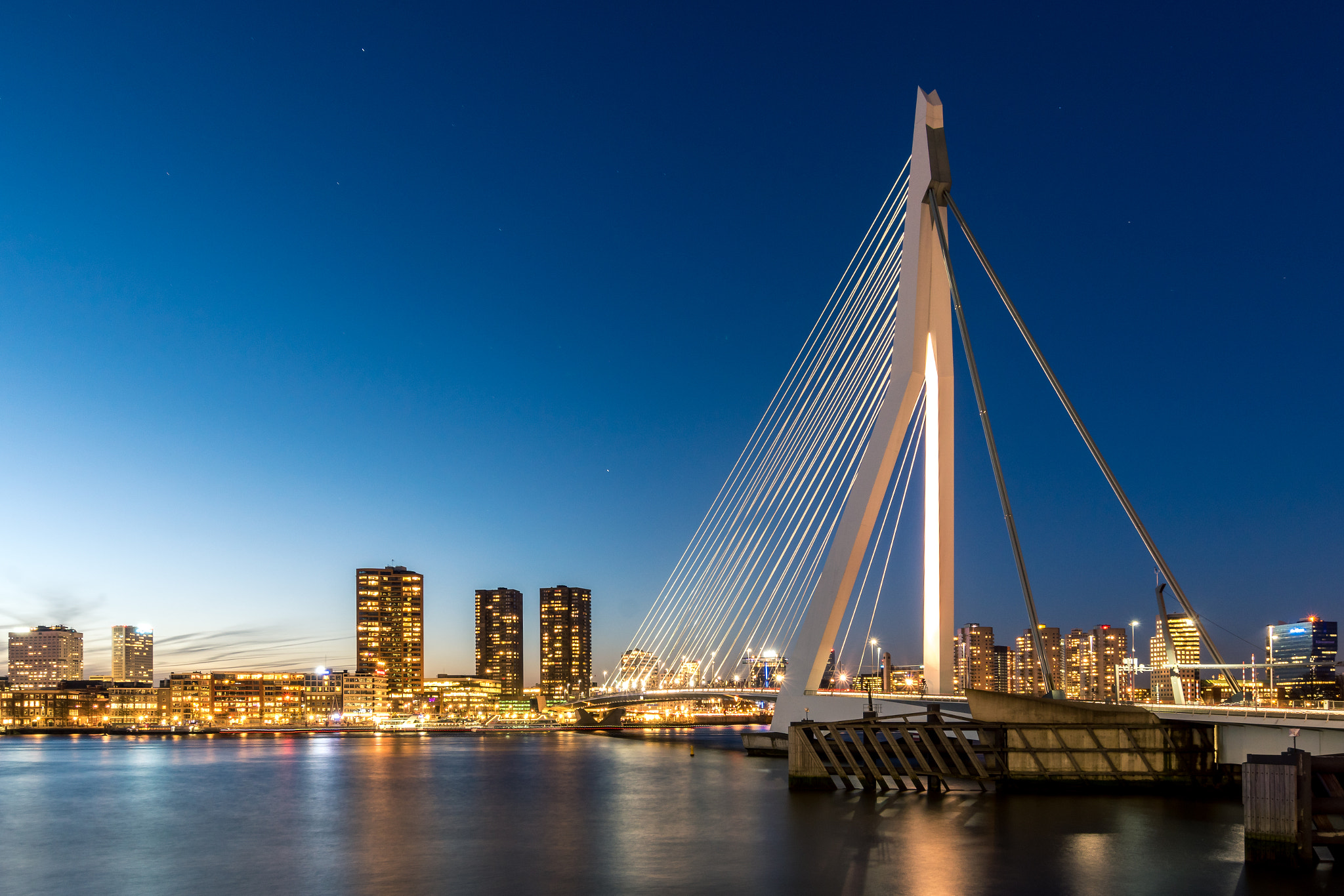 Sony ILCA-77M2 sample photo. Erasmusbrug in the skyline photography