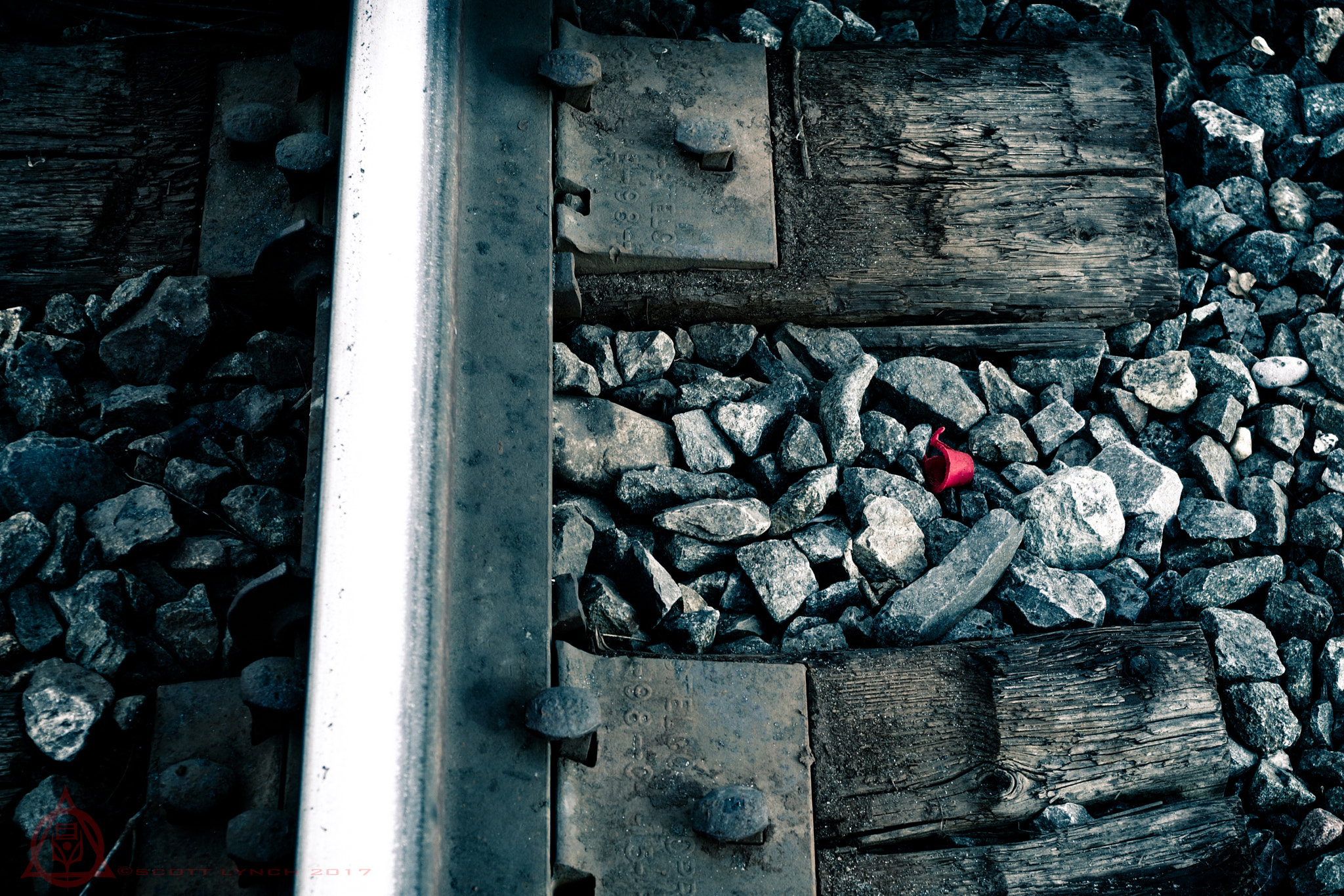 smc PENTAX-DA L 18-55mm F3.5-5.6 sample photo. Dead but dreaming photography