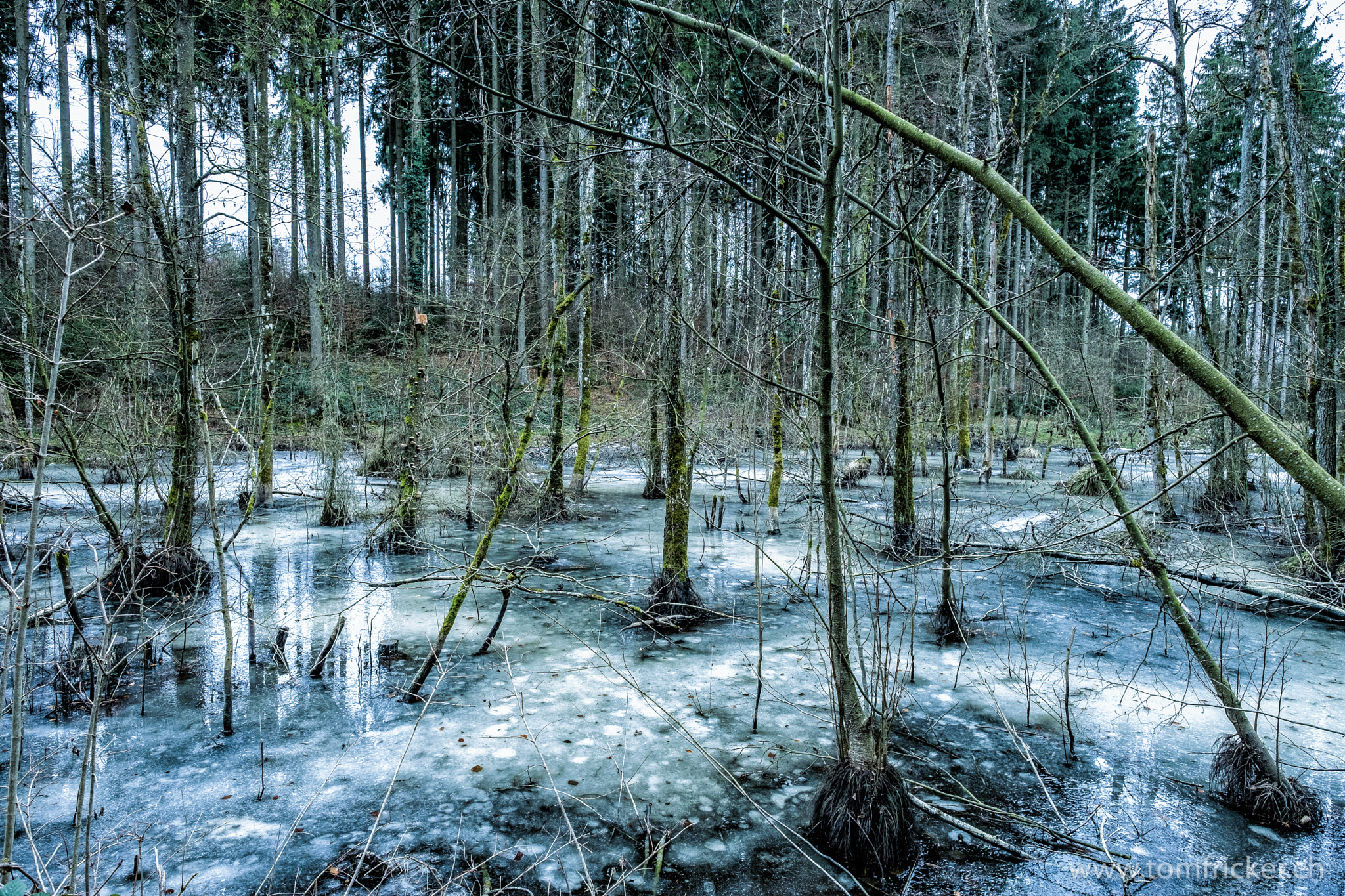 Fujifilm XF 14mm F2.8 R sample photo. Frozen ground photography