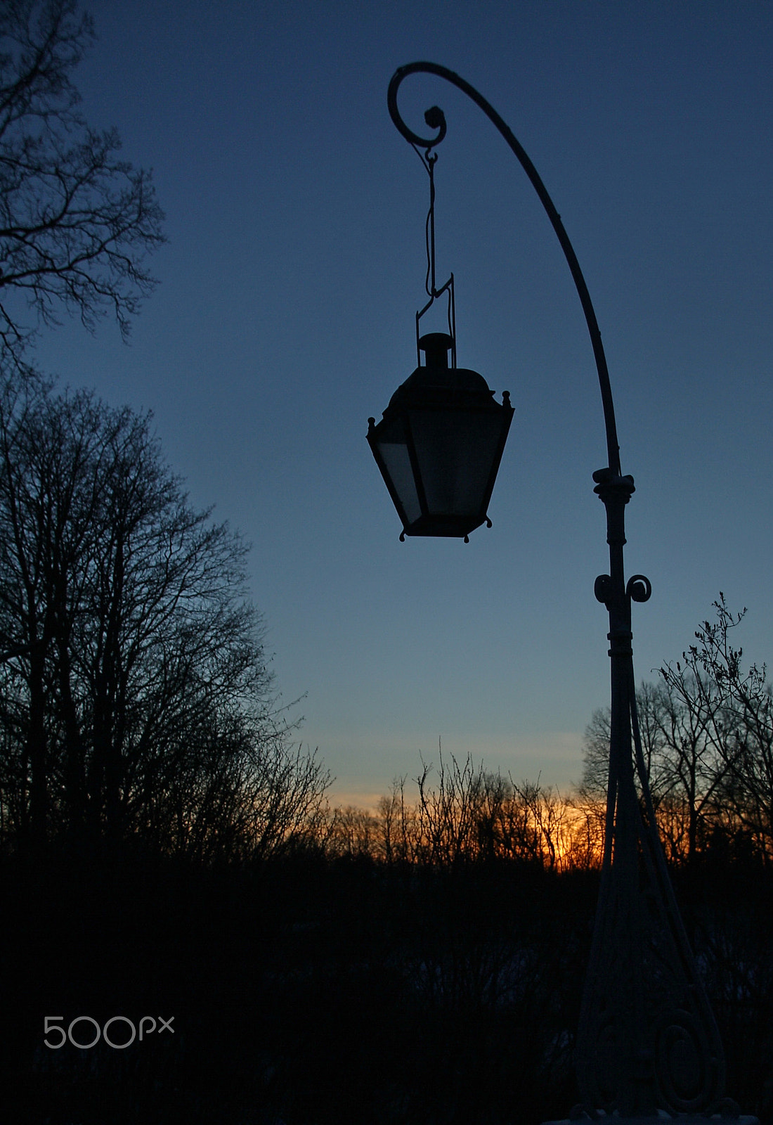 Canon EOS 1000D (EOS Digital Rebel XS / EOS Kiss F) sample photo. Lamp silhouette photography
