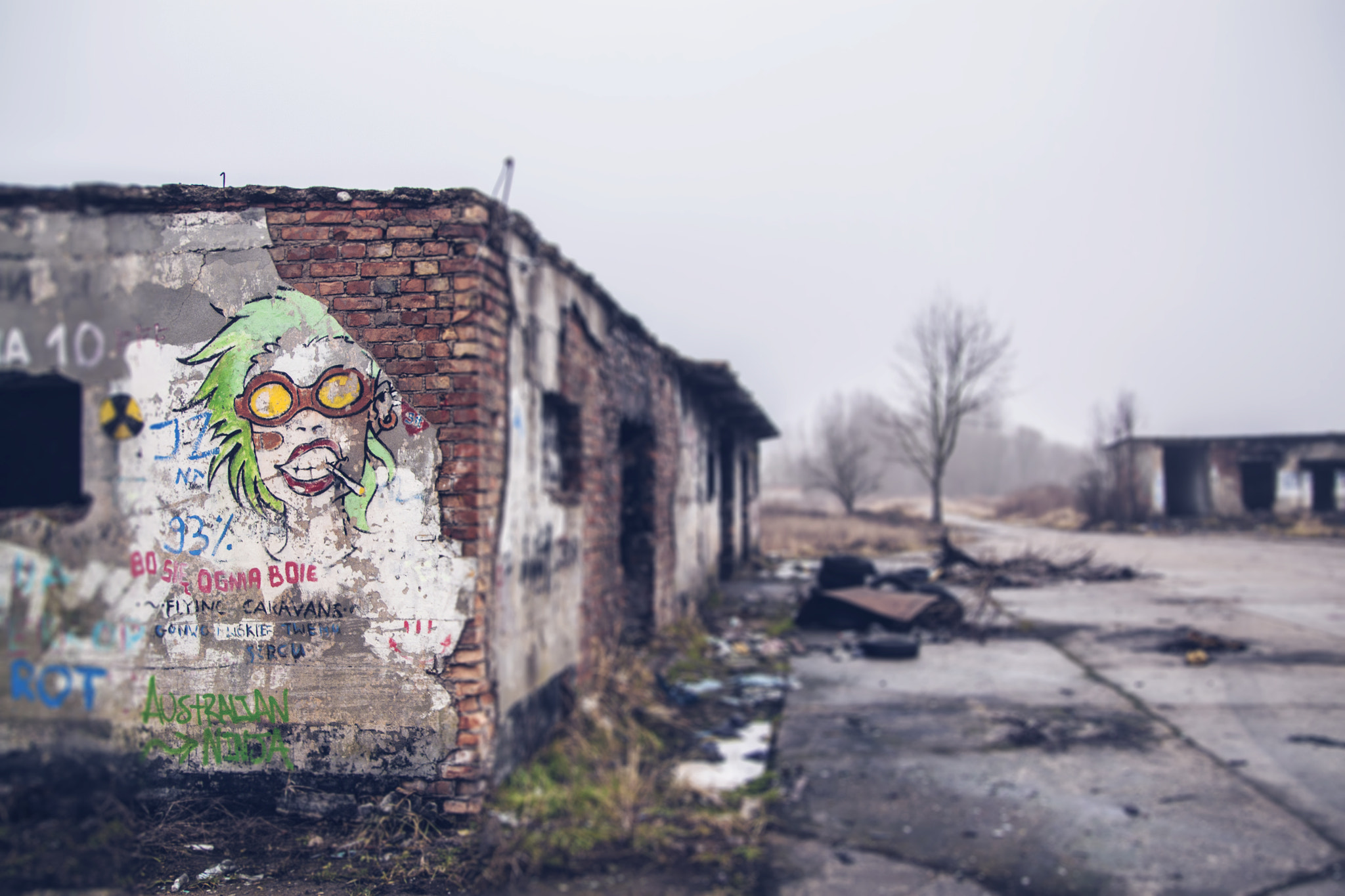 Canon EF-S 17-55mm F2.8 IS USM sample photo. Wasteland 3 photography