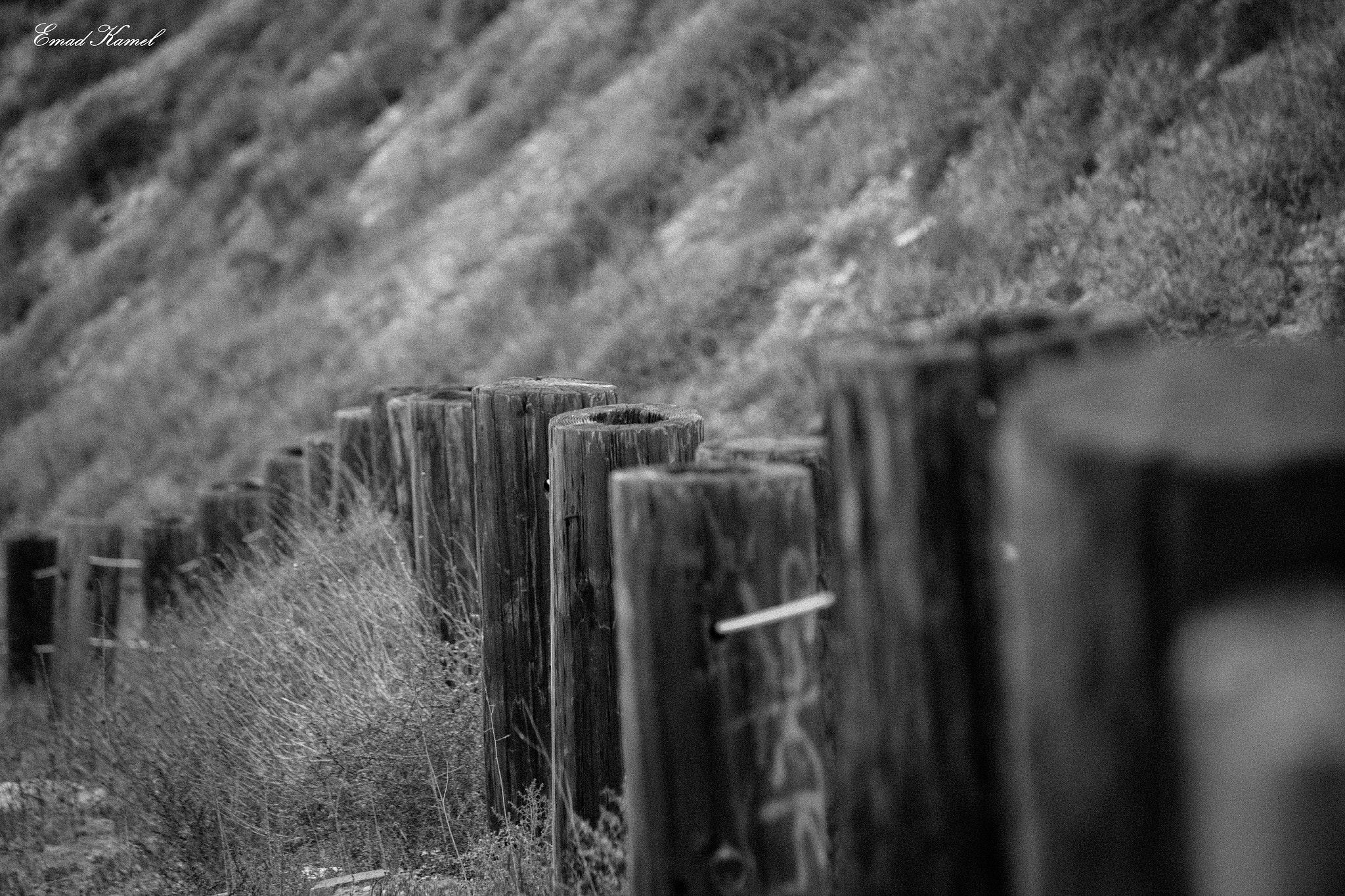 Canon EOS 550D (EOS Rebel T2i / EOS Kiss X4) sample photo. Side walk o photography